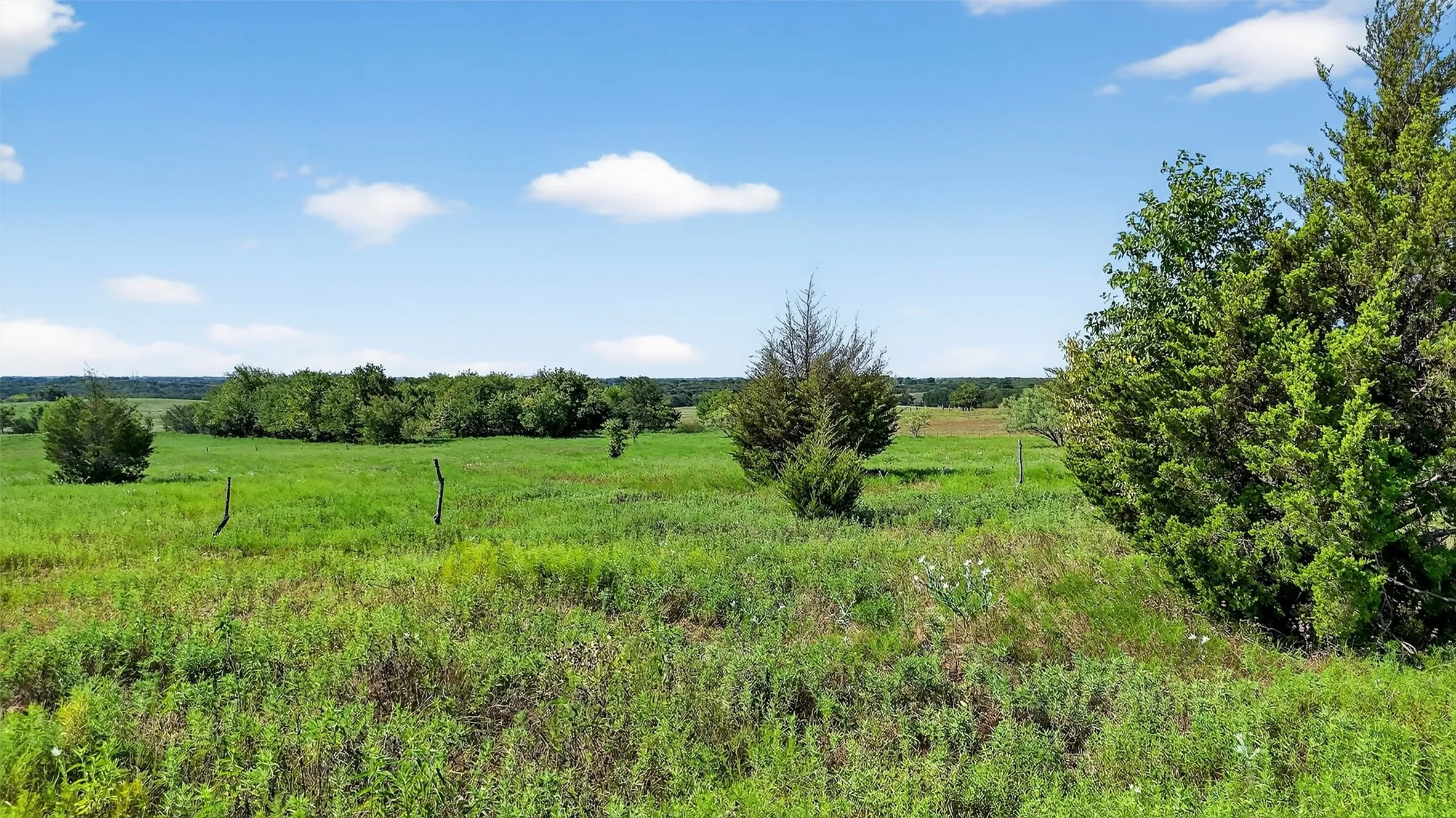 Unimproved Land For Sale in Fannin County , TBD W US Highway 82, Savoy, Texas 75479, 0, 0, Garage spaces, 0 Sqft, built in 0, Price $440,000, mls#21022019, Real Estate Agent in Savoy, Homes For Sale in Fannin county, Homes For Sale in Savoy, Realtor in Savoy Texas, Real Estate Brokerage Independent Realty Texas, Luminita Cordes Realtor