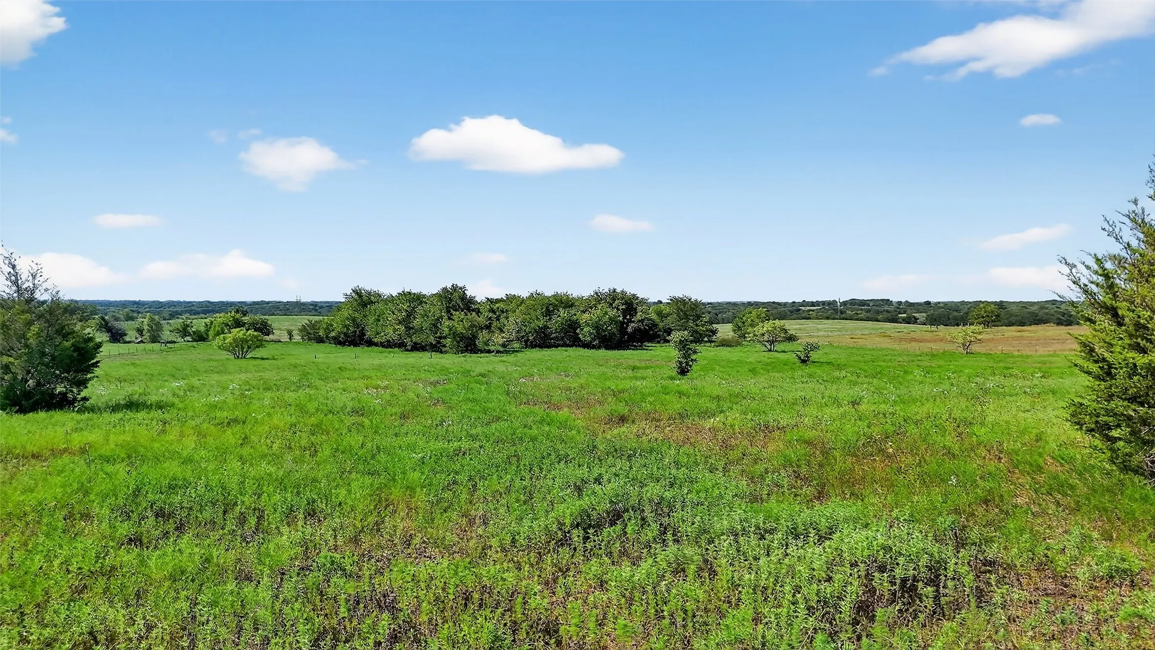 Unimproved Land For Sale in Fannin County , TBD W US Highway 82, Savoy, Texas 75479, 0, 0, Garage spaces, 0 Sqft, built in 0, Price $440,000, mls#21022019, Real Estate Agent in Savoy, Homes For Sale in Fannin county, Homes For Sale in Savoy, Realtor in Savoy Texas, Real Estate Brokerage Independent Realty Texas, Luminita Cordes Realtor