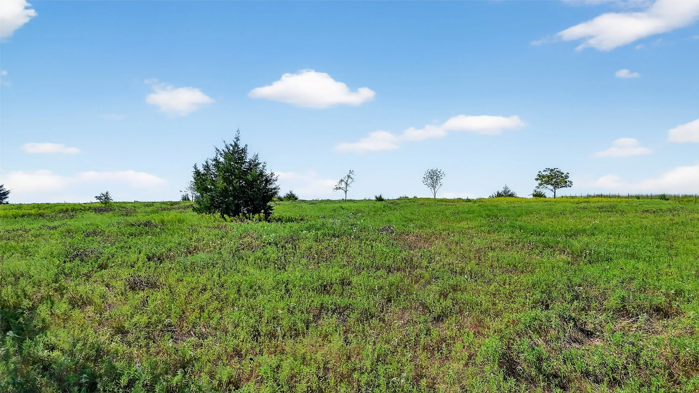 Unimproved Land For Sale in Fannin County , TBD W US Highway 82, Savoy, Texas 75479, 0, 0, Garage spaces, 0 Sqft, built in 0, Price $440,000, mls#21022019, Real Estate Agent in Savoy, Homes For Sale in Fannin county, Homes For Sale in Savoy, Realtor in Savoy Texas, Real Estate Brokerage Independent Realty Texas, Luminita Cordes Realtor