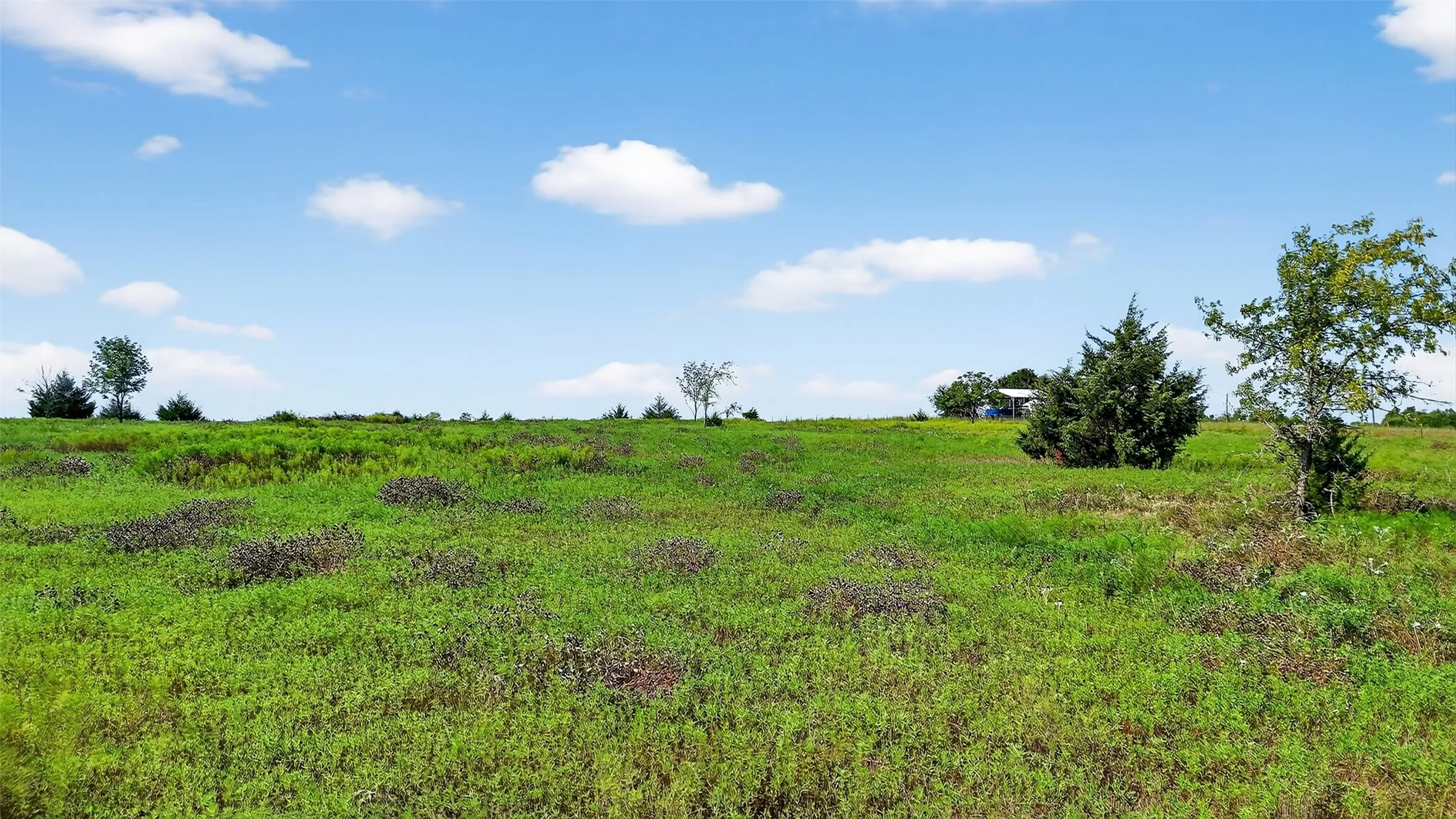 Unimproved Land For Sale in Fannin County , TBD W US Highway 82, Savoy, Texas 75479, 0, 0, Garage spaces, 0 Sqft, built in 0, Price $440,000, mls#21022019, Real Estate Agent in Savoy, Homes For Sale in Fannin county, Homes For Sale in Savoy, Realtor in Savoy Texas, Real Estate Brokerage Independent Realty Texas, Luminita Cordes Realtor