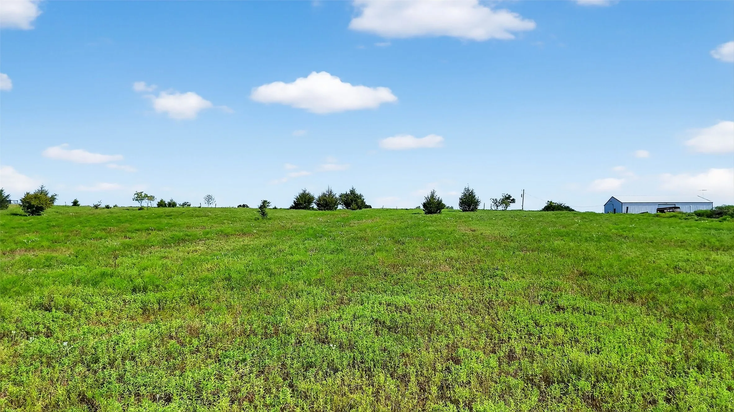 Unimproved Land For Sale in Fannin County , TBD W US Highway 82, Savoy, Texas 75479, 0, 0, Garage spaces, 0 Sqft, built in 0, Price $440,000, mls#21022019, Real Estate Agent in Savoy, Homes For Sale in Fannin county, Homes For Sale in Savoy, Realtor in Savoy Texas, Real Estate Brokerage Independent Realty Texas, Luminita Cordes Realtor