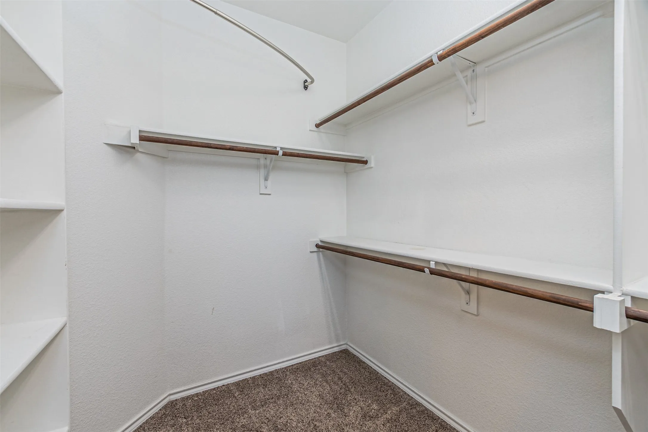 Walk in closet with carpet flooring