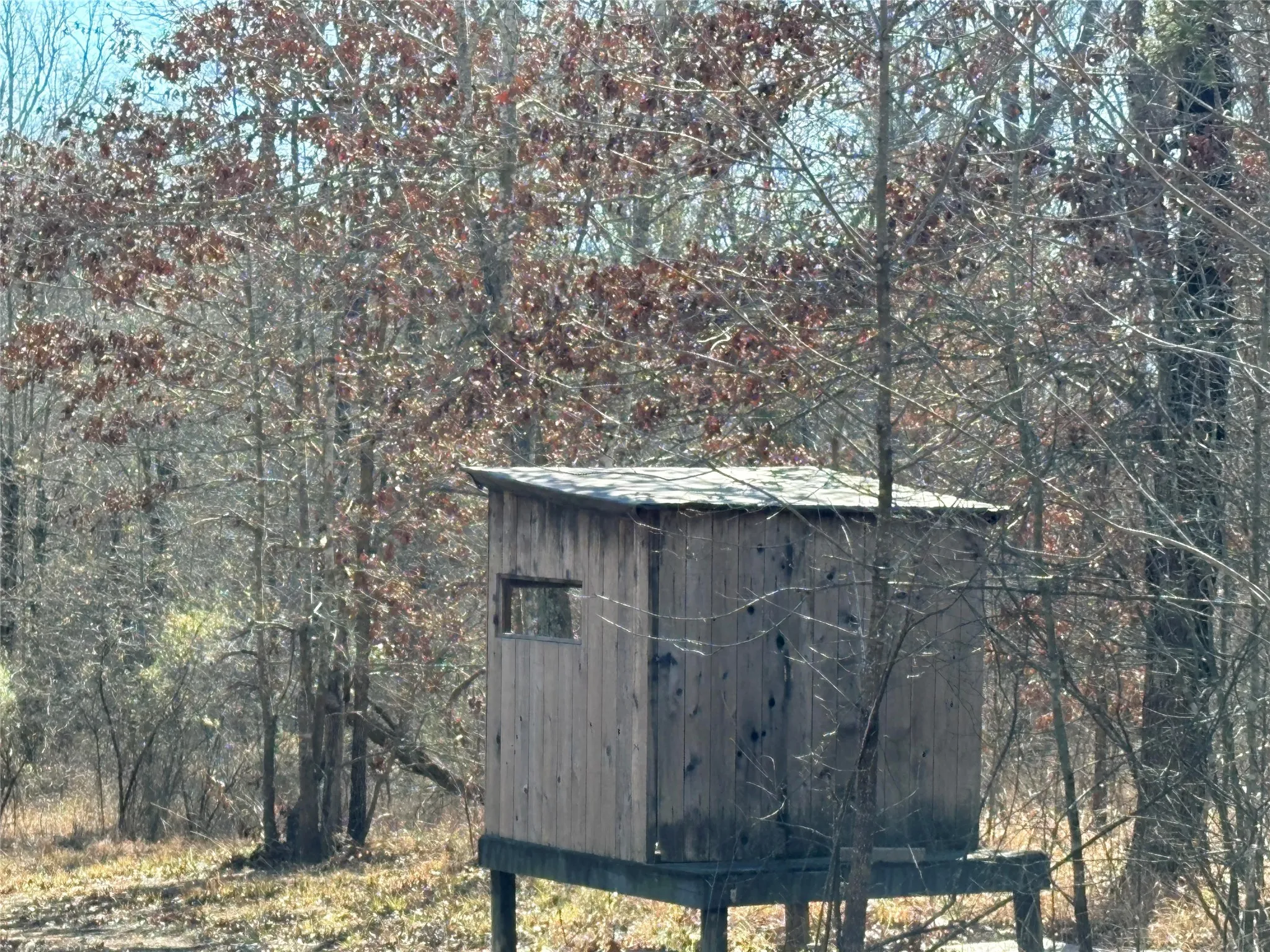 2 MAN CEDAR BLIND

