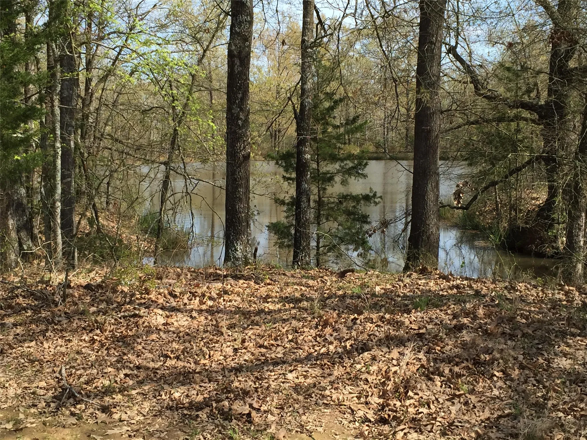 1.5 ACRE SPRING-FED POND