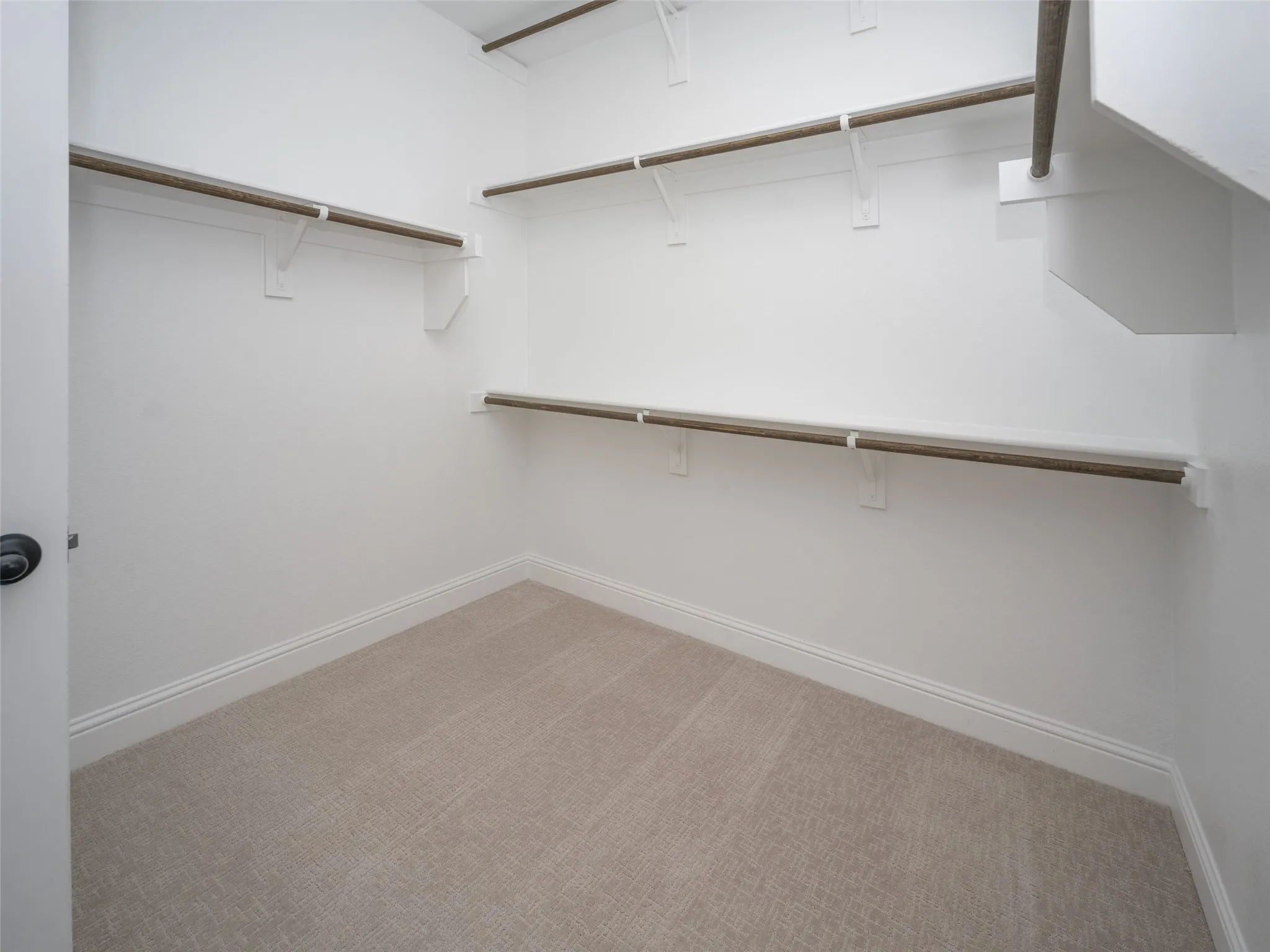 Spacious closet with light carpet
