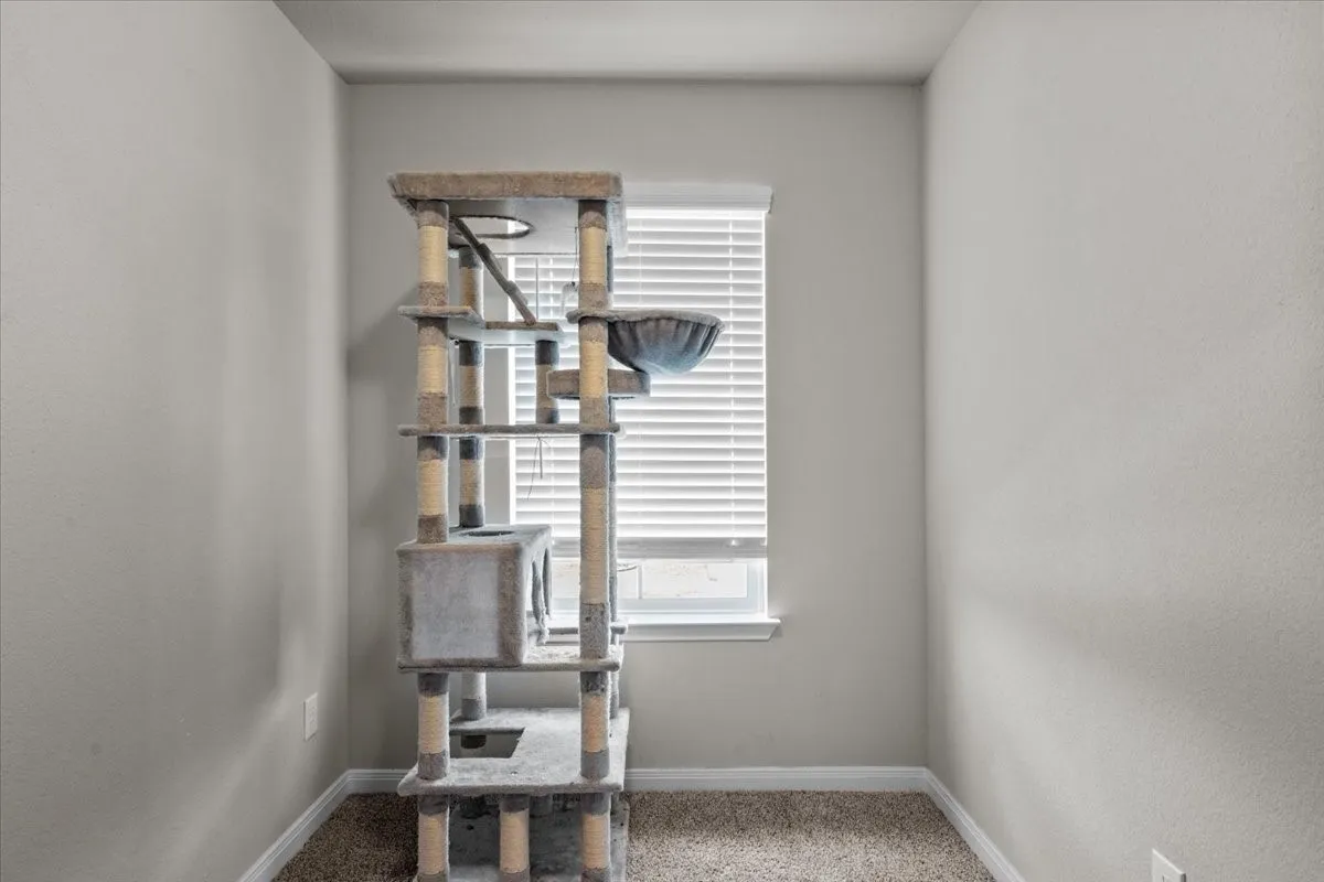 Unfurnished dining area featuring carpet flooring
