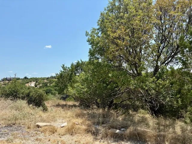 Unimproved Land For Sale in Palo Pinto County , Lot 246 Broadmoor Court, Possum Kingdom Lake, Texas 76449, 0, 0, Garage spaces, 0 Sqft, built in 0, mls#21027888, Real Estate Agent in Possum Kingdom Lake, Homes For Sale in Palo Pinto county, Homes For Sale in Possum Kingdom Lake, Realtor in Possum Kingdom Lake Texas, Real Estate Brokerage Independent Realty Texas, Luminita Cordes Realtor