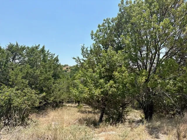 Unimproved Land For Sale in Palo Pinto County , Lot 246 Broadmoor Court, Possum Kingdom Lake, Texas 76449, 0, 0, Garage spaces, 0 Sqft, built in 0, mls#21027888, Real Estate Agent in Possum Kingdom Lake, Homes For Sale in Palo Pinto county, Homes For Sale in Possum Kingdom Lake, Realtor in Possum Kingdom Lake Texas, Real Estate Brokerage Independent Realty Texas, Luminita Cordes Realtor
