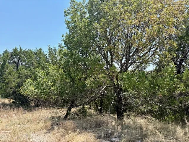 Unimproved Land For Sale in Palo Pinto County , Lot 246 Broadmoor Court, Possum Kingdom Lake, Texas 76449, 0, 0, Garage spaces, 0 Sqft, built in 0, mls#21027888, Real Estate Agent in Possum Kingdom Lake, Homes For Sale in Palo Pinto county, Homes For Sale in Possum Kingdom Lake, Realtor in Possum Kingdom Lake Texas, Real Estate Brokerage Independent Realty Texas, Luminita Cordes Realtor