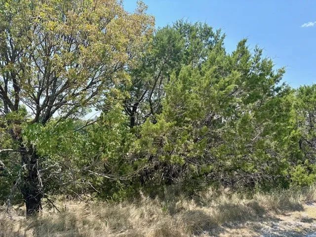 Unimproved Land For Sale in Palo Pinto County , Lot 246 Broadmoor Court, Possum Kingdom Lake, Texas 76449, 0, 0, Garage spaces, 0 Sqft, built in 0, mls#21027888, Real Estate Agent in Possum Kingdom Lake, Homes For Sale in Palo Pinto county, Homes For Sale in Possum Kingdom Lake, Realtor in Possum Kingdom Lake Texas, Real Estate Brokerage Independent Realty Texas, Luminita Cordes Realtor