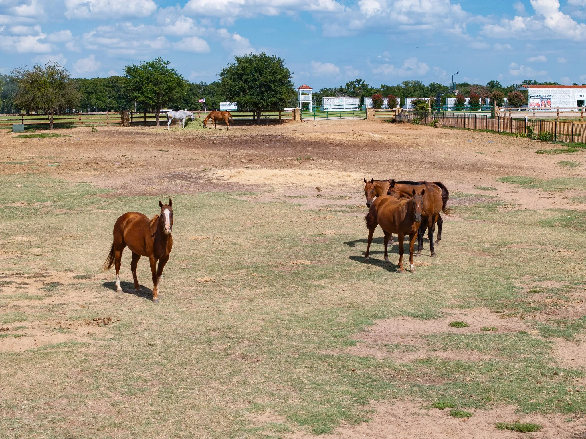 Unimproved Land For Sale in Denton County , 510 Prestonwood Polo Drive, Oak Point, Texas 75068, 0, 0, Garage spaces, 0 Sqft, built in 0, Price $450,000, mls#21023665, Real Estate Agent in Oak Point, Homes For Sale in Denton county, Homes For Sale in Oak Point, Realtor in Oak Point Texas, Real Estate Brokerage Independent Realty Texas, Luminita Cordes Realtor