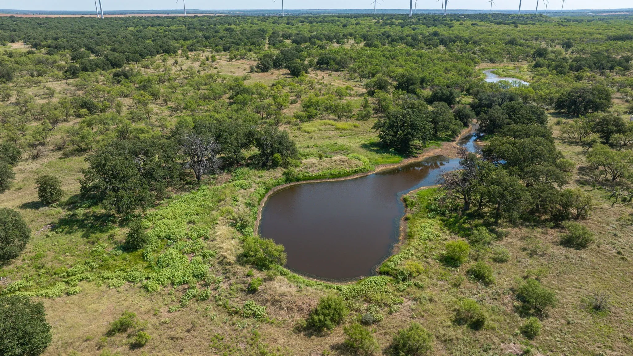 Ranch For Sale in Young County , 1712 Wells East Road W, Newcastle, Texas 76372, 0, 0, Garage spaces, 0 Sqft, built in 2017, Price $1,264,000, mls#21028069, Real Estate Agent in Newcastle, Homes For Sale in Young county, Homes For Sale in Newcastle, Realtor in Newcastle Texas, Real Estate Brokerage Independent Realty Texas, Luminita Cordes Realtor