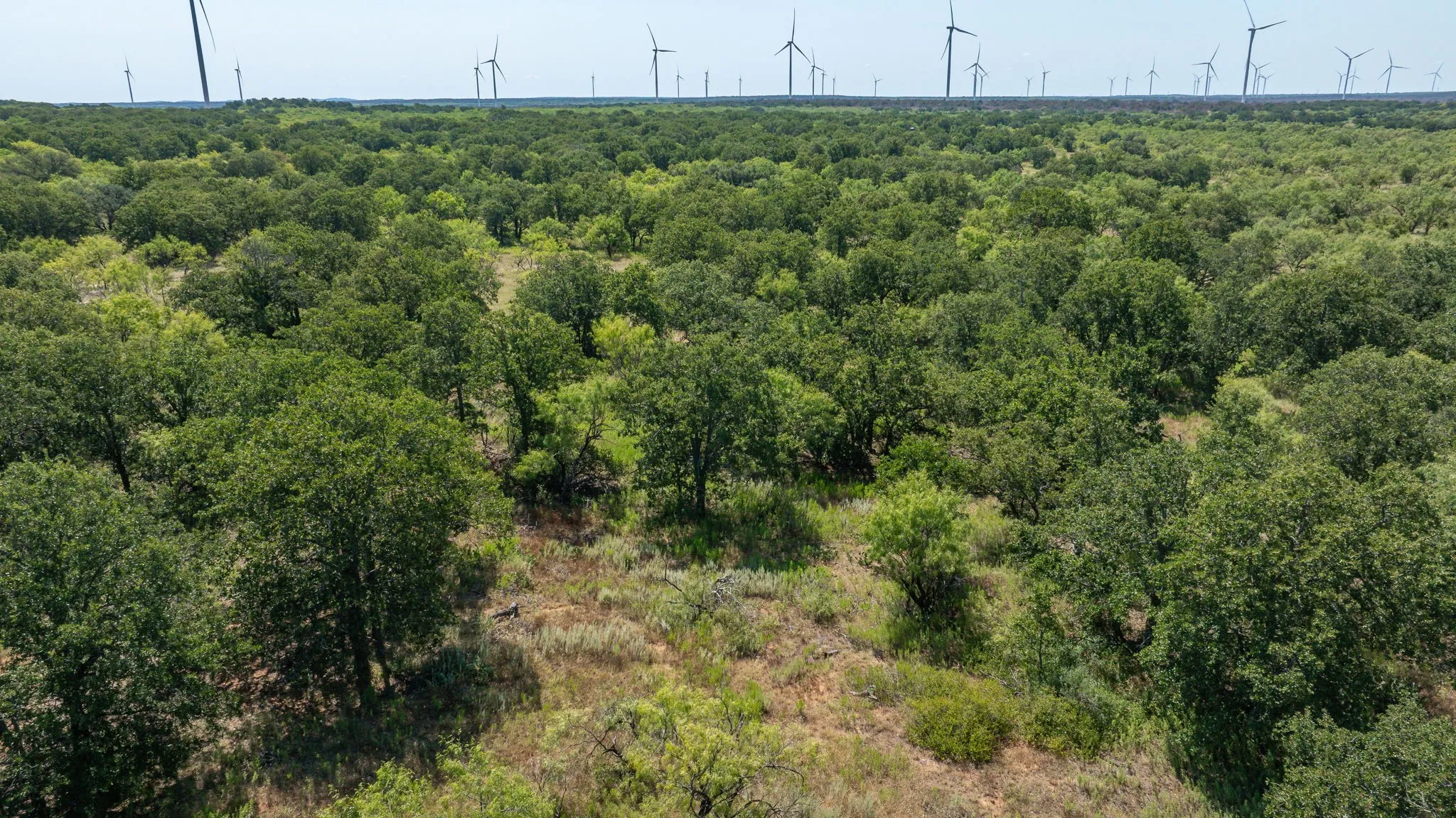 Ranch For Sale in Young County , 1712 Wells East Road W, Newcastle, Texas 76372, 0, 0, Garage spaces, 0 Sqft, built in 2017, Price $1,264,000, mls#21028069, Real Estate Agent in Newcastle, Homes For Sale in Young county, Homes For Sale in Newcastle, Realtor in Newcastle Texas, Real Estate Brokerage Independent Realty Texas, Luminita Cordes Realtor