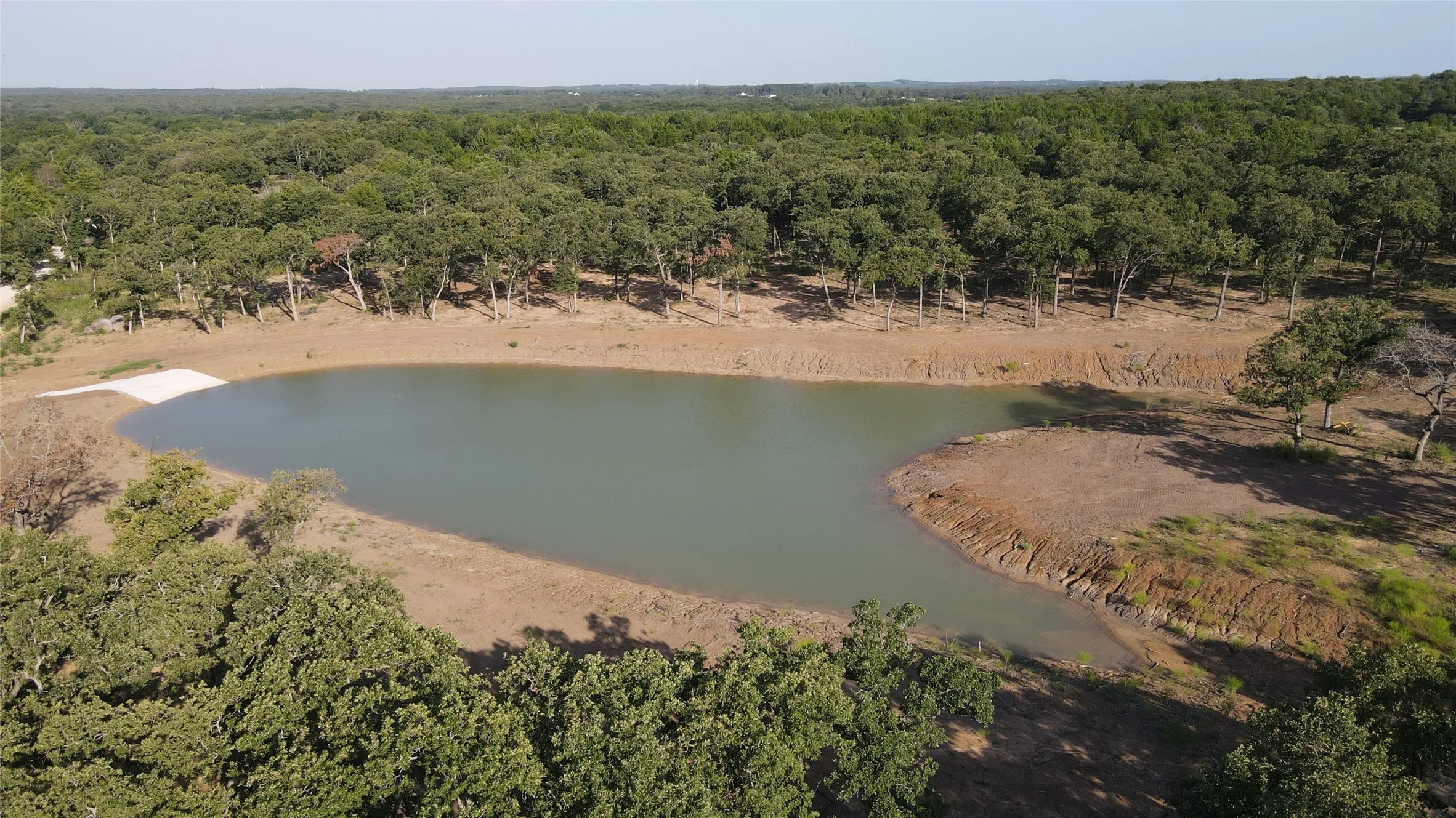 Bird's eye view of a forest and a large body of water