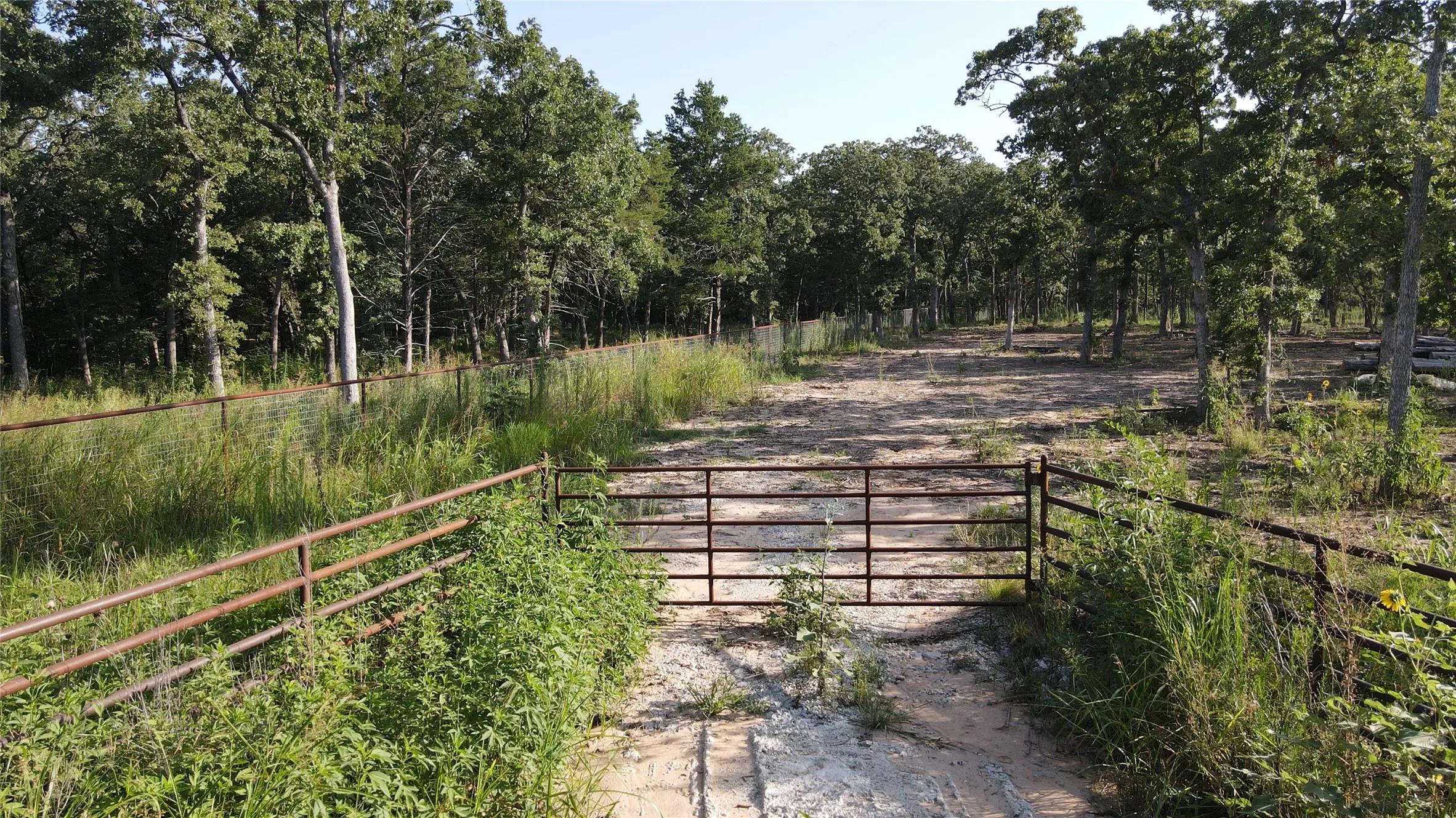 View of road with a gate, a wooded view, and a gated entry