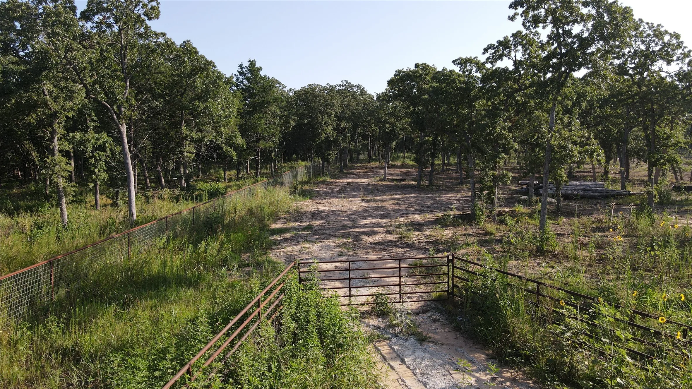 Unimproved Land For Sale in Cooke County , tbd Cr-232, Collinsville, Texas 76233, 0, 0, Garage spaces, 0 Sqft, built in 0, Price $769,900, mls#21027546, Real Estate Agent in Collinsville, Homes For Sale in Cooke county, Homes For Sale in Collinsville, Realtor in Collinsville Texas, Real Estate Brokerage Independent Realty Texas, Luminita Cordes Realtor