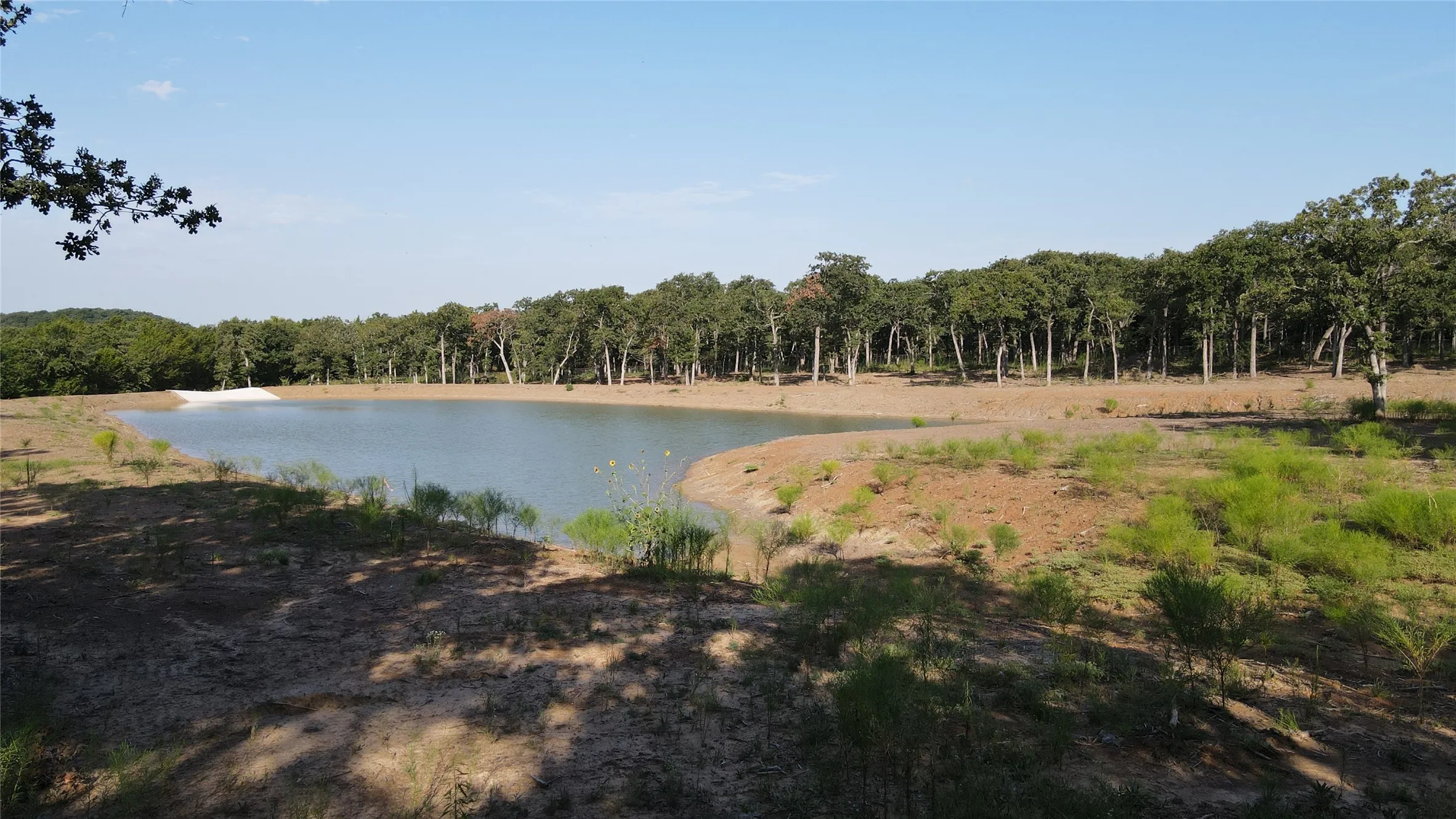 Water view featuring a forest