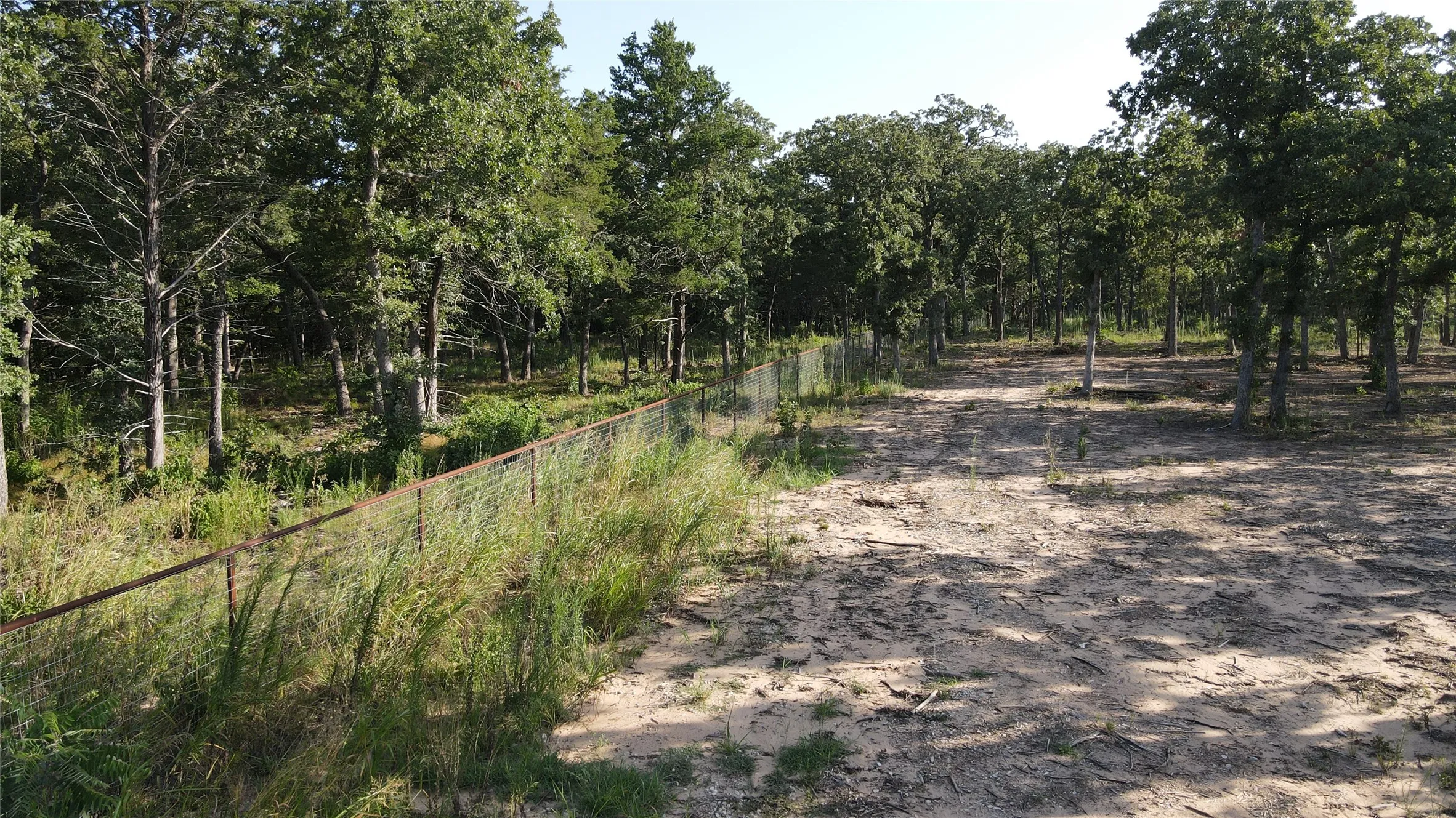 View of dirt / gravel road featuring a forest view