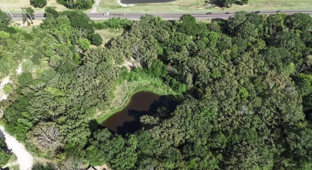 Unimproved Land For Sale in Van Zandt County , 13488 State Hwy 19, Canton, Texas 75103, 0, 0, Garage spaces, 0 Sqft, built in 0, mls#21028471, Real Estate Agent in Canton, Homes For Sale in Van Zandt county, Homes For Sale in Canton, Realtor in Canton Texas, Real Estate Brokerage Independent Realty Texas, Luminita Cordes Realtor