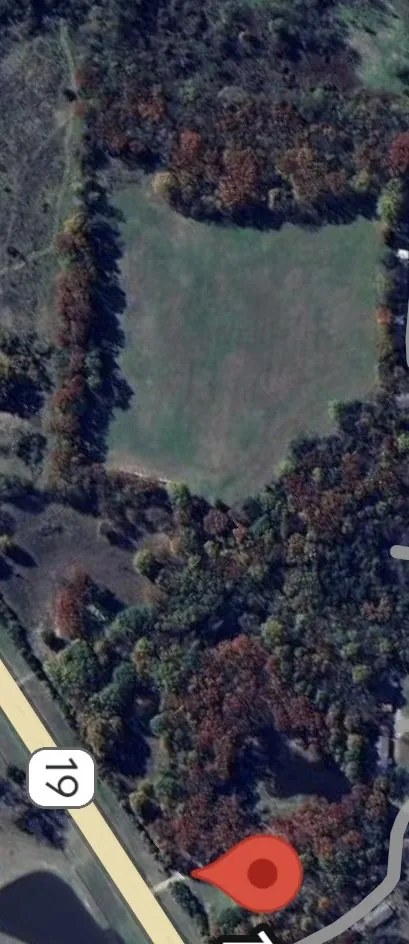 Unimproved Land For Sale in Van Zandt County , 13488 State Hwy 19, Canton, Texas 75103, 0, 0, Garage spaces, 0 Sqft, built in 0, mls#21028471, Real Estate Agent in Canton, Homes For Sale in Van Zandt county, Homes For Sale in Canton, Realtor in Canton Texas, Real Estate Brokerage Independent Realty Texas, Luminita Cordes Realtor