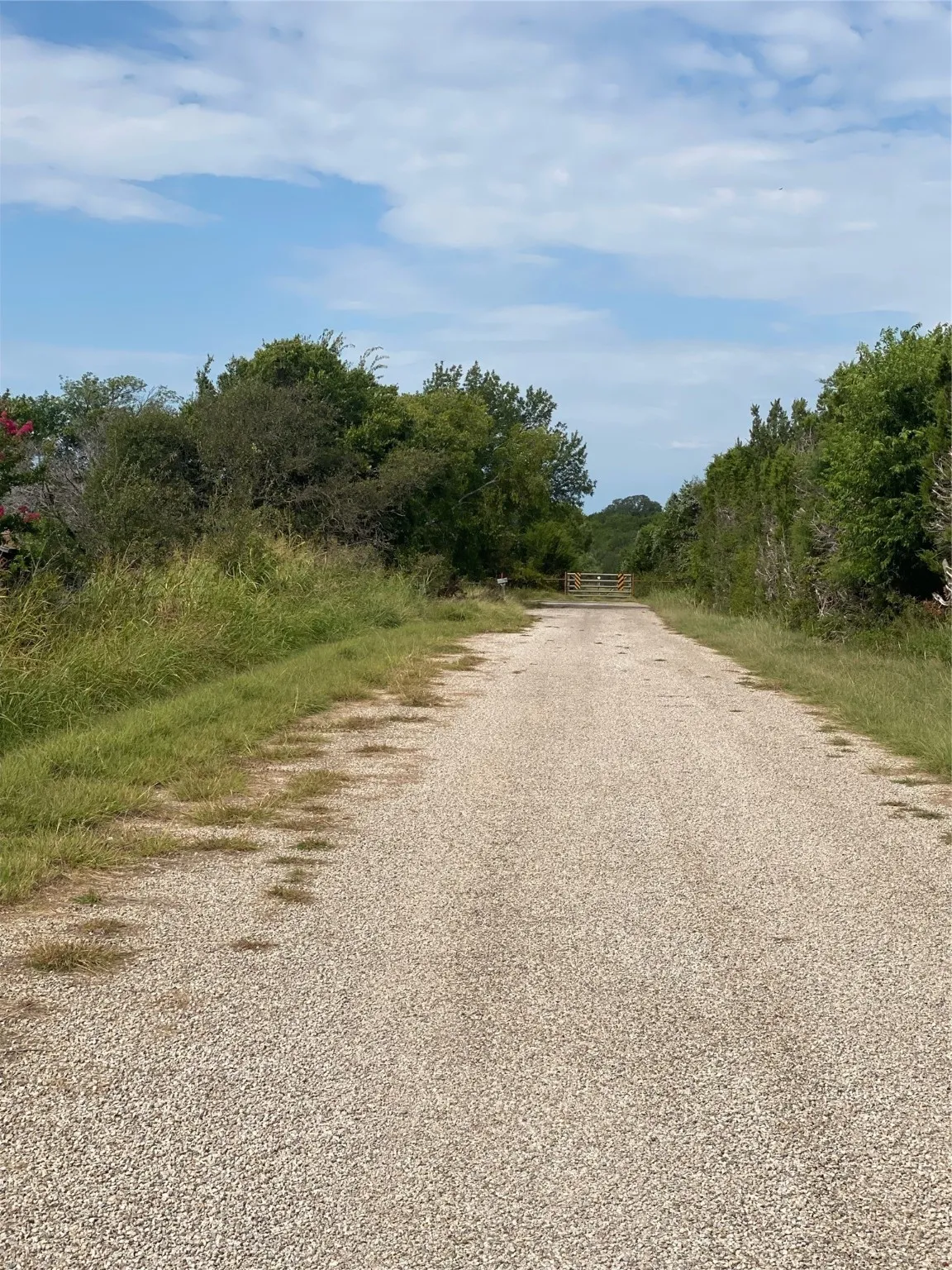 View of dirt / gravel road with a forest view