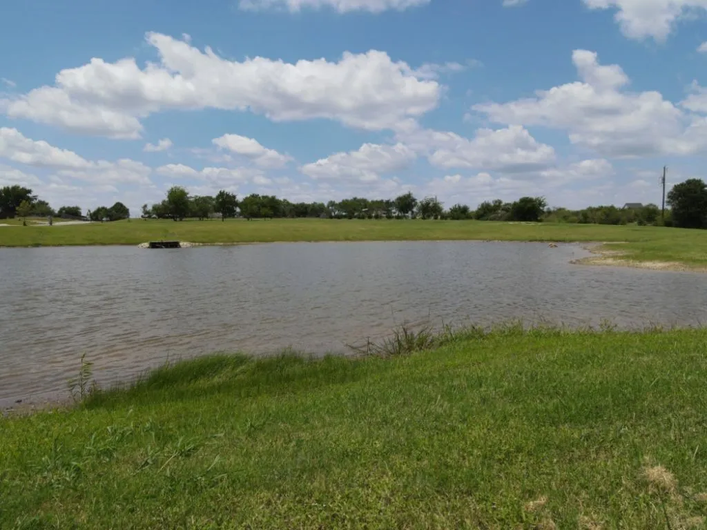 Unimproved Land For Sale in Johnson County , 3322 Mariposa Ridge, Crowley, Texas 76036, 0, 0, Garage spaces, 0 Sqft, built in 0, Price $299,900, mls#21029015, Real Estate Agent in Crowley, Homes For Sale in Johnson county, Homes For Sale in Crowley, Realtor in Crowley Texas, Real Estate Brokerage Independent Realty Texas, Luminita Cordes Realtor