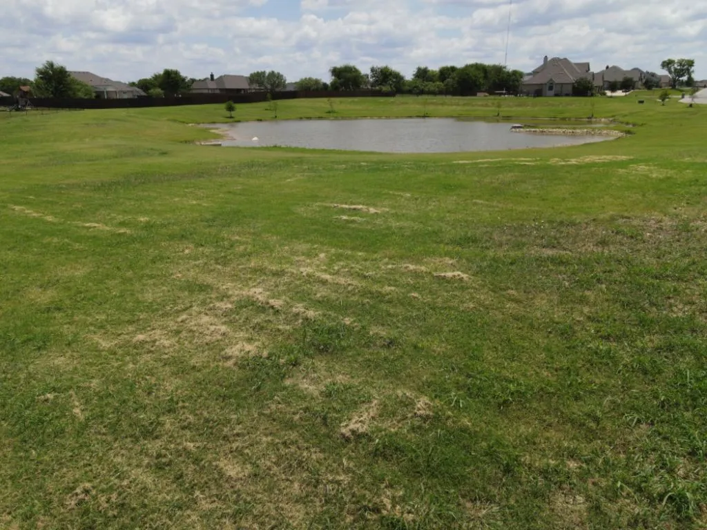 Unimproved Land For Sale in Johnson County , 3322 Mariposa Ridge, Crowley, Texas 76036, 0, 0, Garage spaces, 0 Sqft, built in 0, Price $299,900, mls#21029015, Real Estate Agent in Crowley, Homes For Sale in Johnson county, Homes For Sale in Crowley, Realtor in Crowley Texas, Real Estate Brokerage Independent Realty Texas, Luminita Cordes Realtor