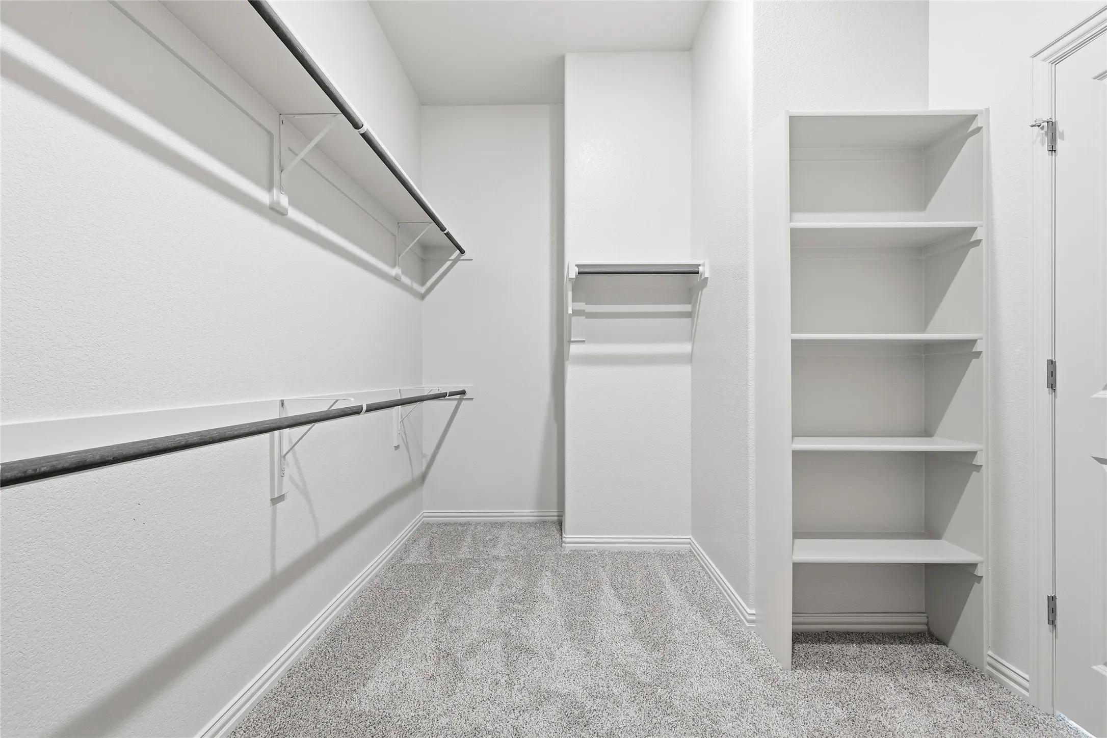 Walk in closet featuring light colored carpet
