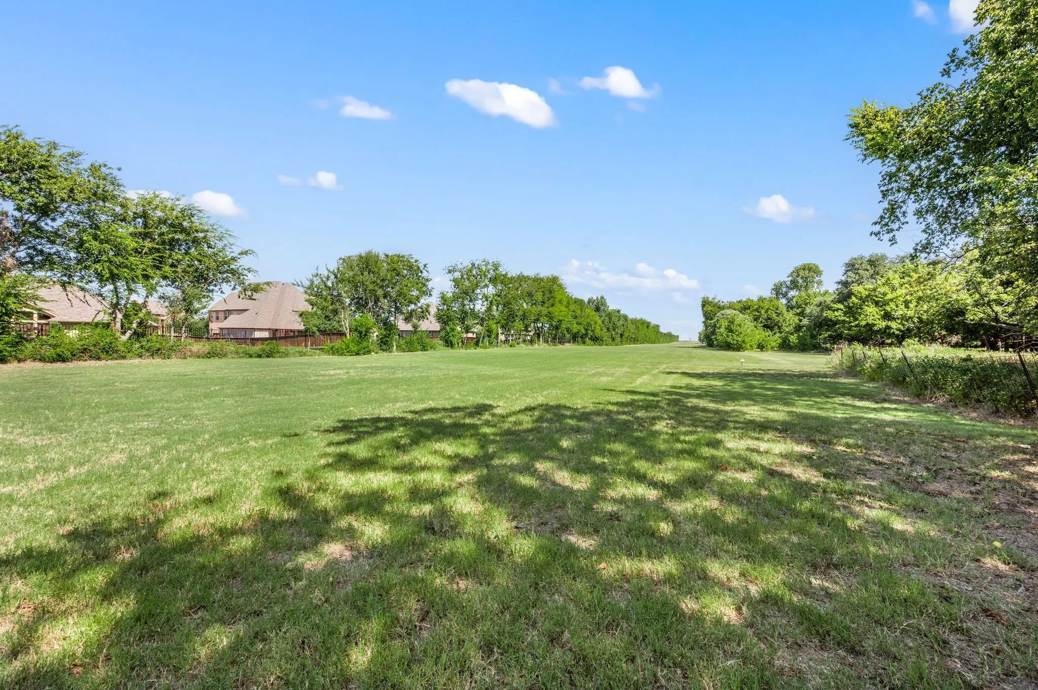 View of green lawn