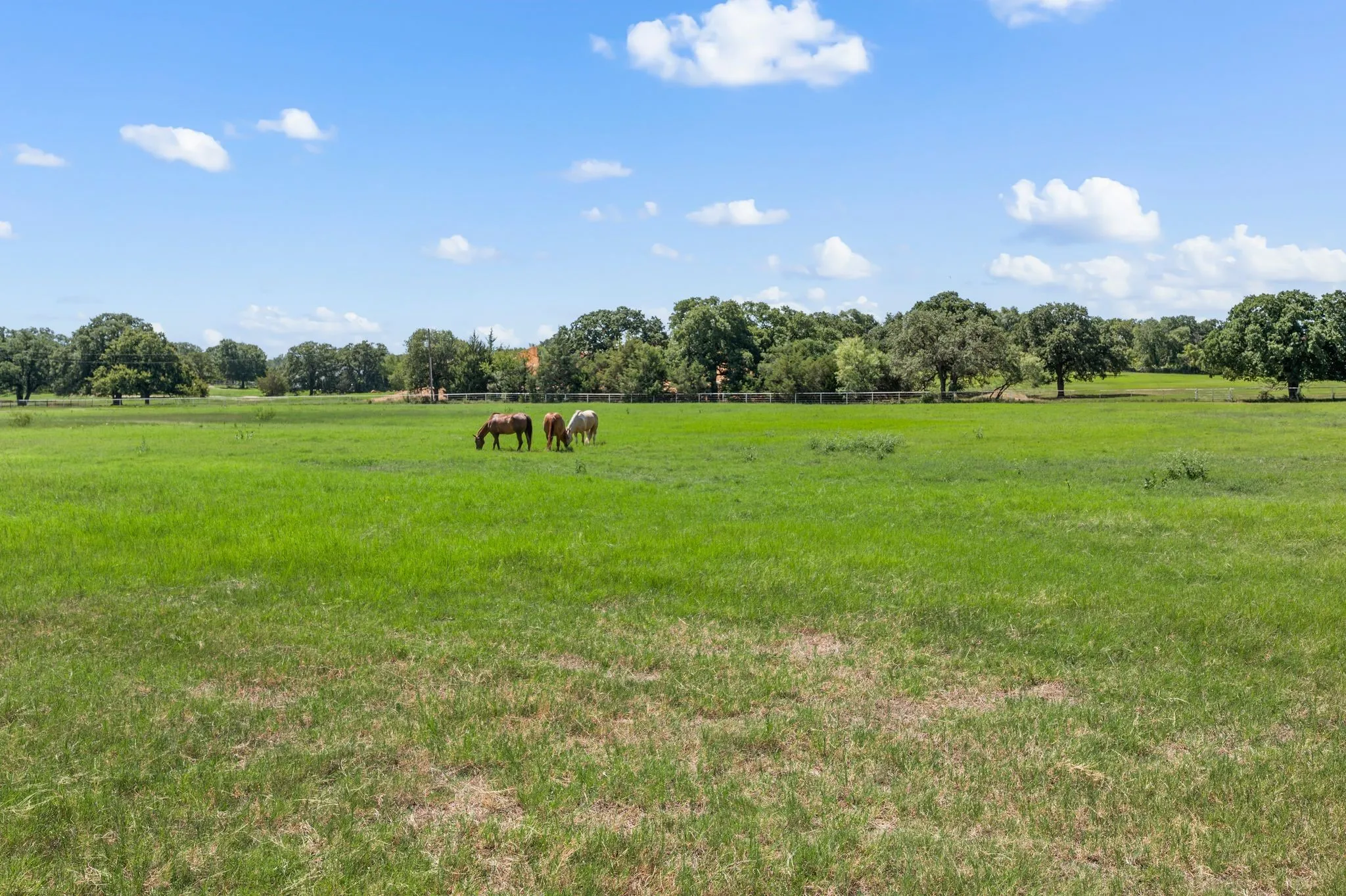 View of yard with a view of countryside