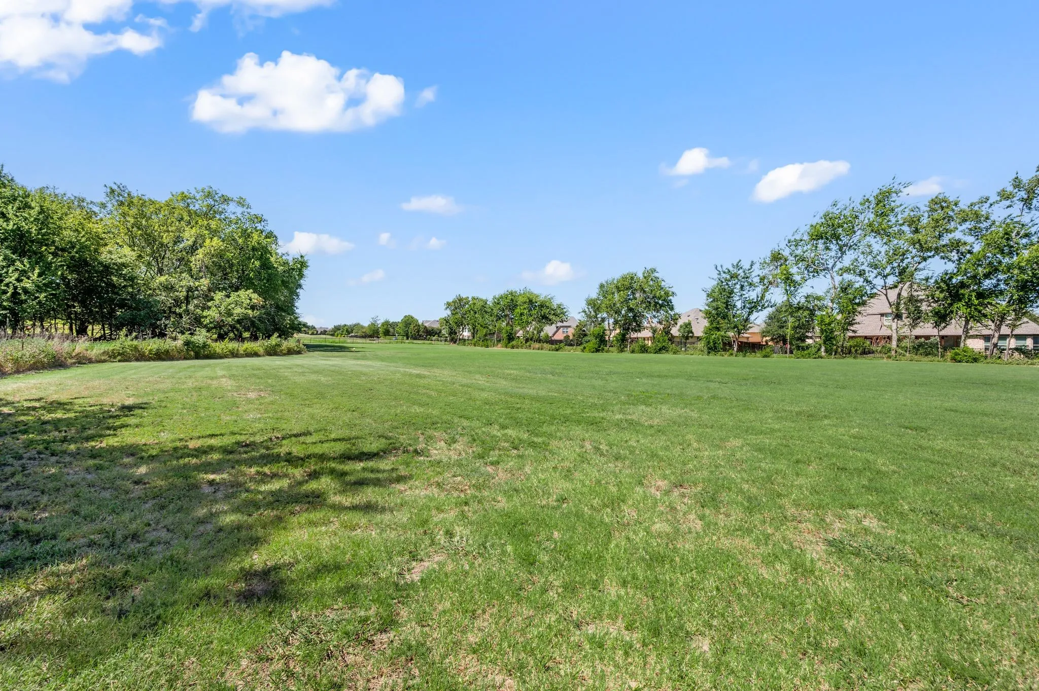 View of green lawn