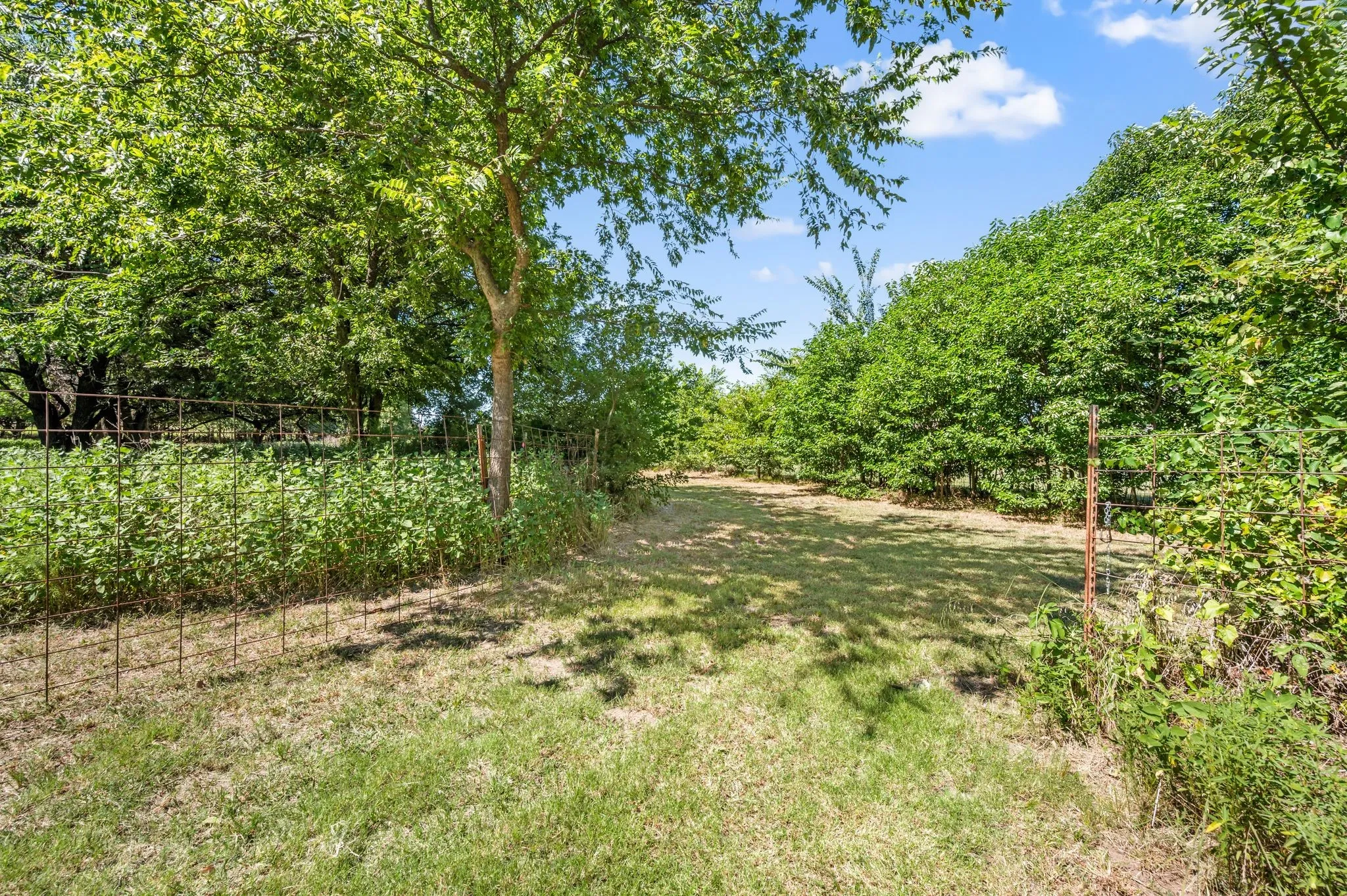 View of yard with a forest view