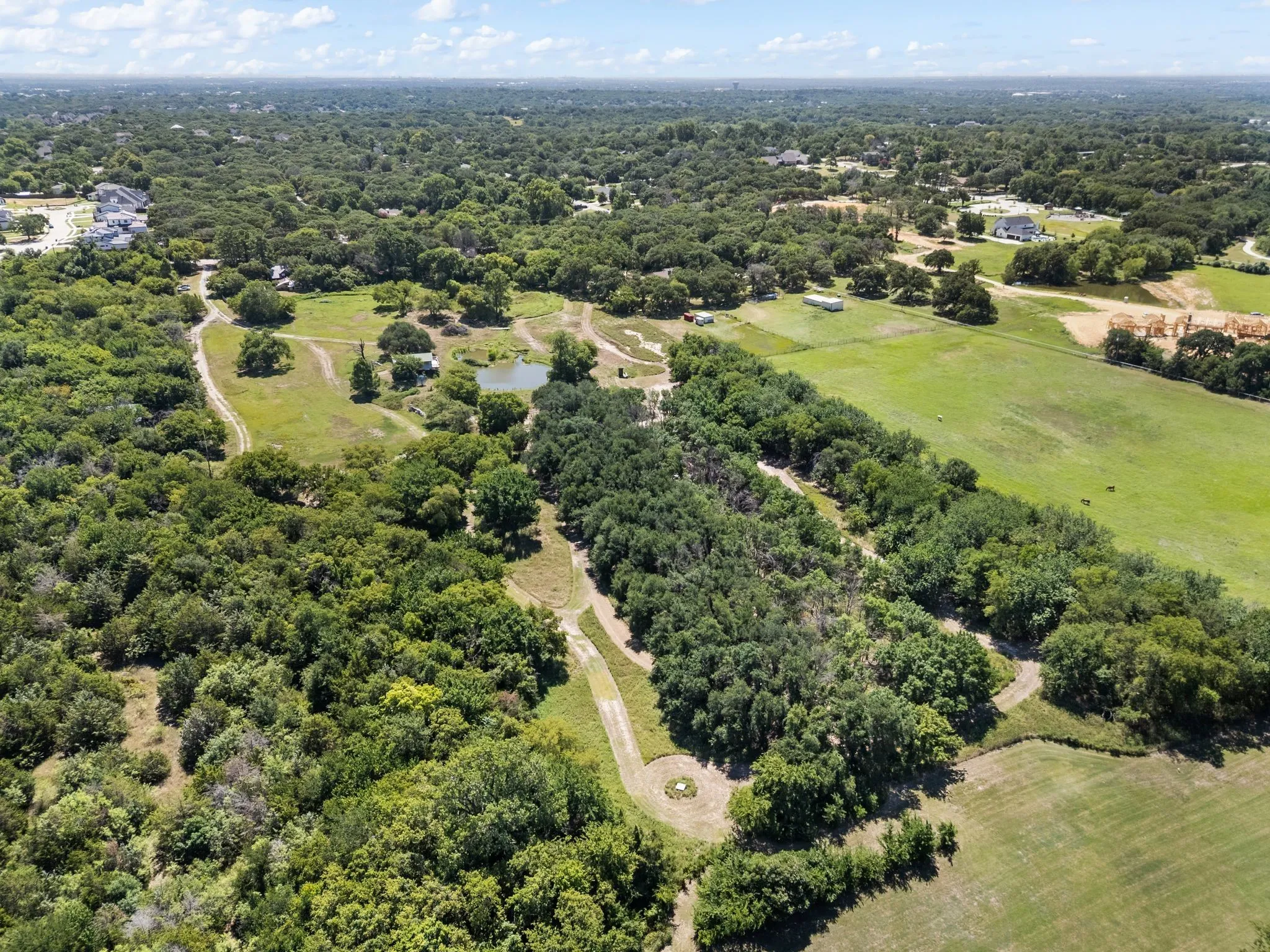 Drone / aerial view of a forest