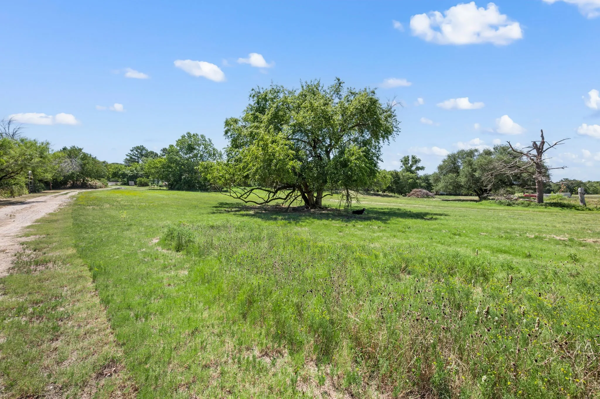 View of yard featuring a view of countryside