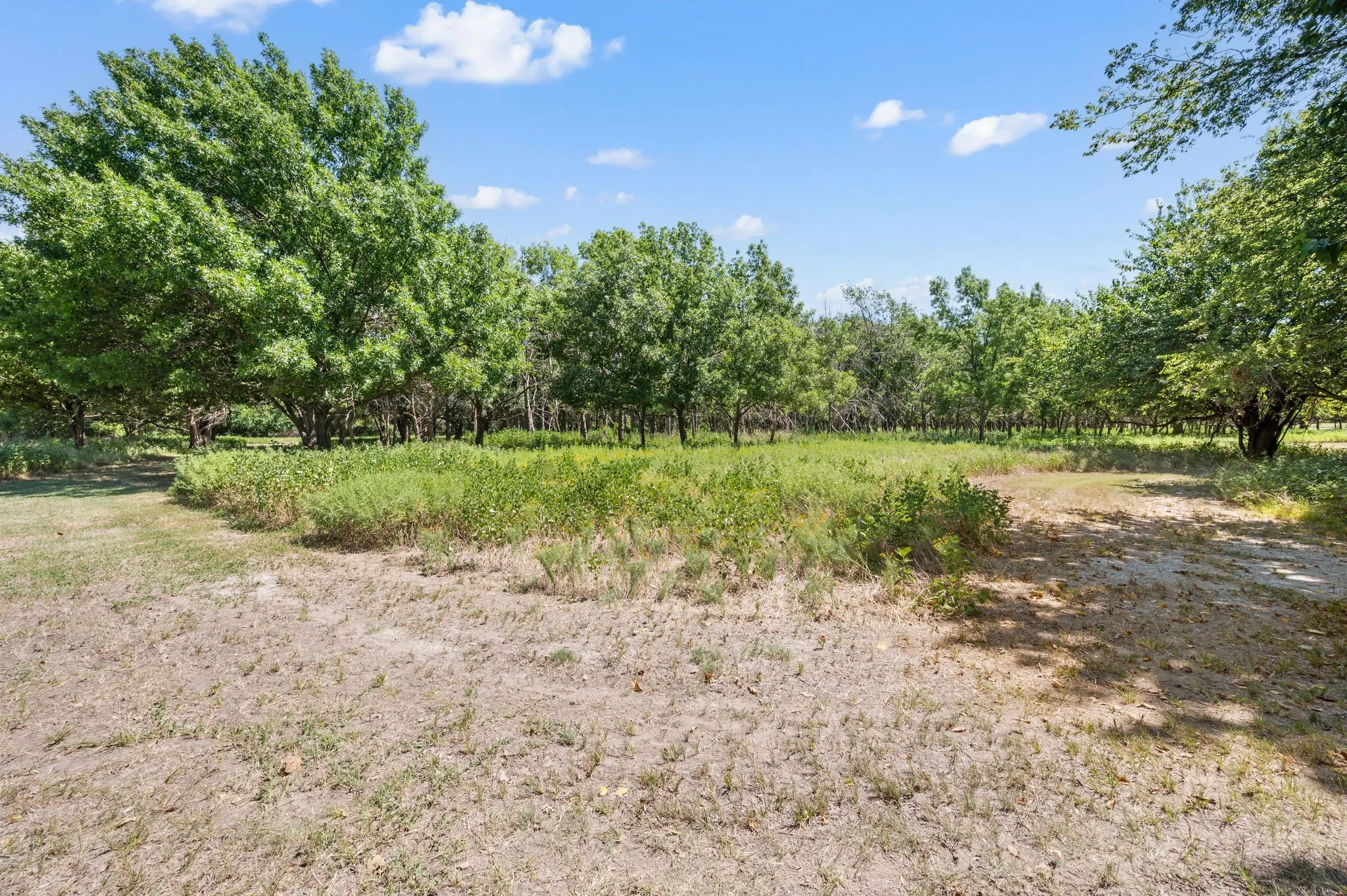 View of undeveloped land