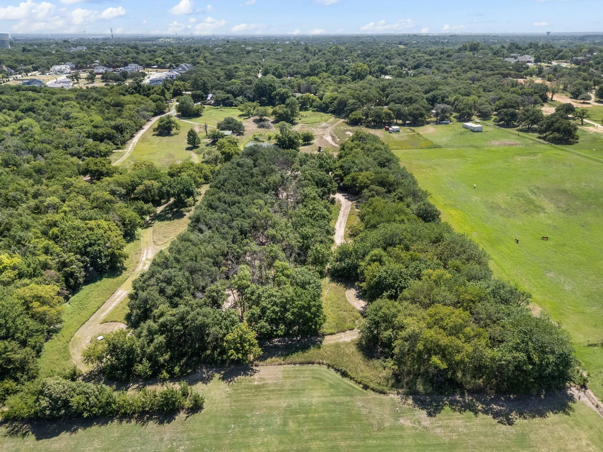 Bird's eye view of a heavily wooded area