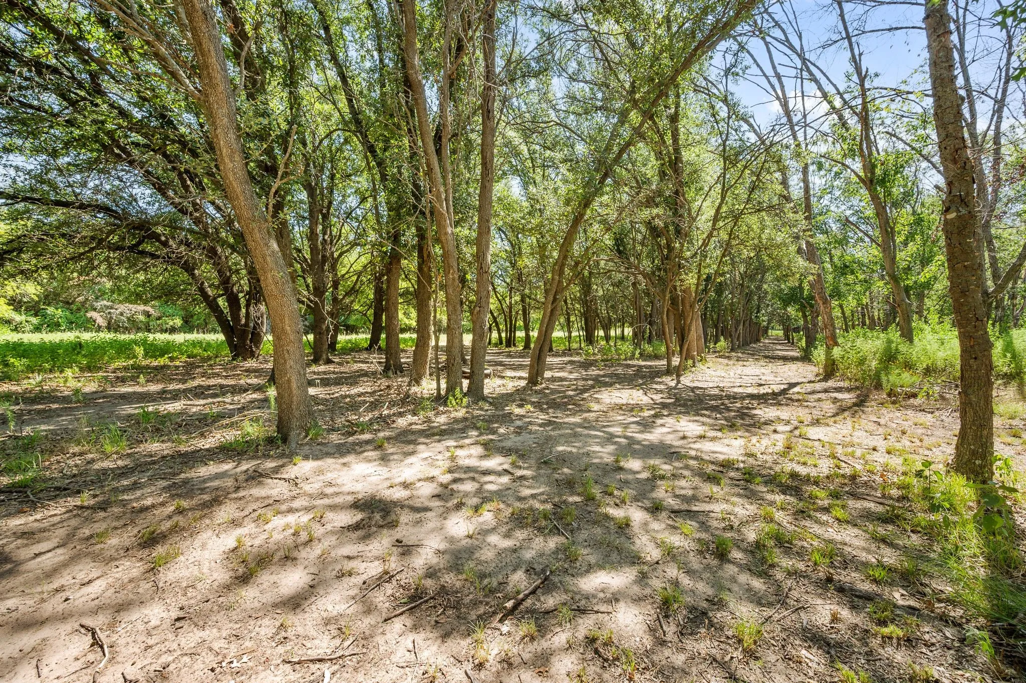 View of undeveloped land