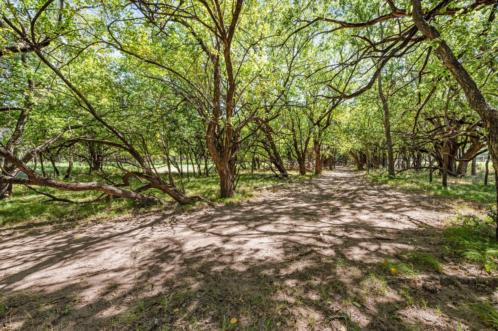 Improved Land For Sale in Tarrant County , 13109 Roanoke Road, Westlake, Texas 76262, 0, 0, Garage spaces, 0 Sqft, built in 0, mls#21013910, Real Estate Agent in Westlake, Homes For Sale in Tarrant county, Homes For Sale in Westlake, Realtor in Westlake Texas, Real Estate Brokerage Independent Realty Texas, Luminita Cordes Realtor