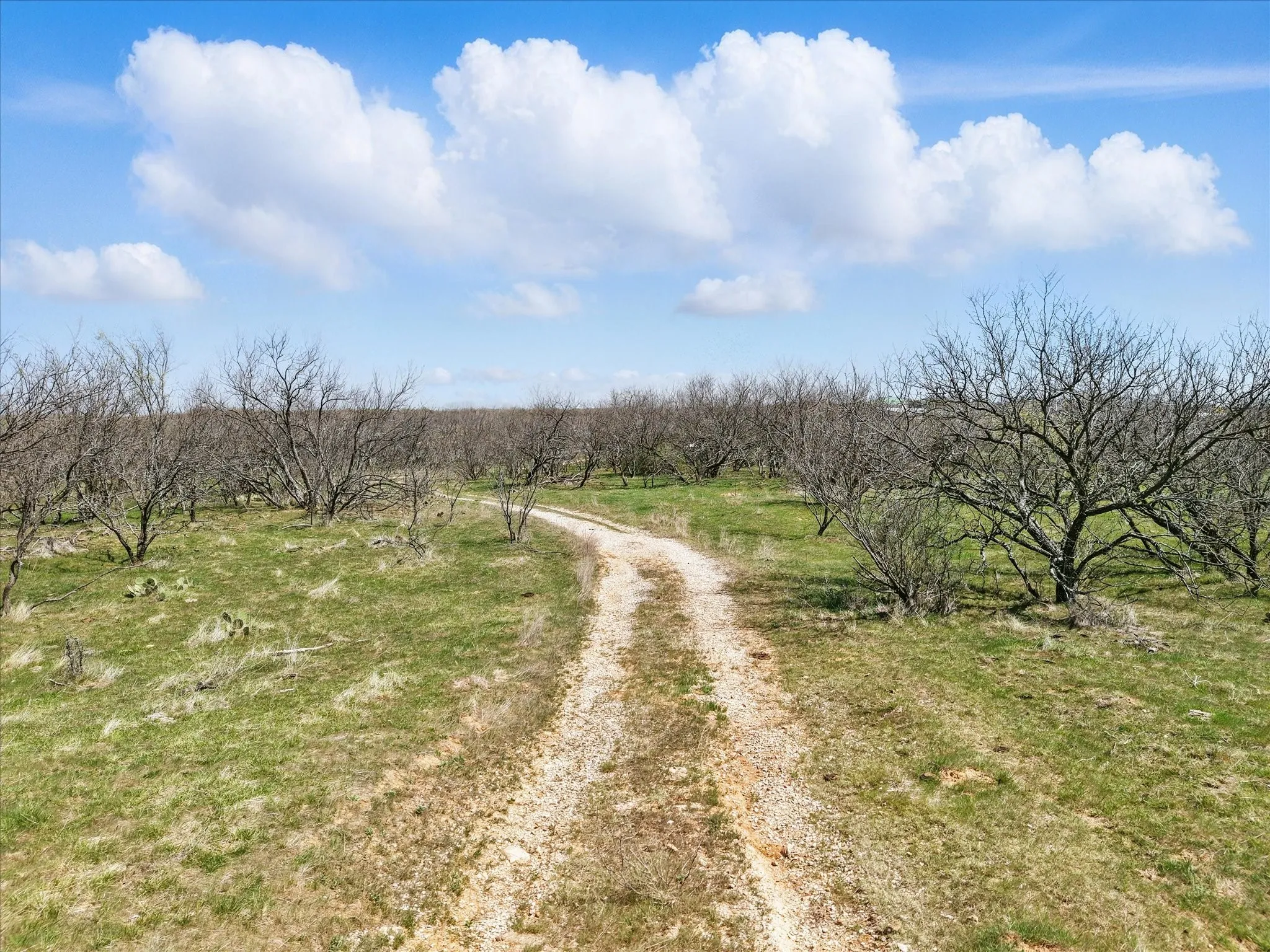 Unimproved Land For Sale in Jack County , 000 N Main Street, Jacksboro, Texas 76458, 0, 0, Garage spaces, 0 Sqft, built in 0, Price $2,154,260, mls#21029082, Real Estate Agent in Jacksboro, Homes For Sale in Jack county, Homes For Sale in Jacksboro, Realtor in Jacksboro Texas, Real Estate Brokerage Independent Realty Texas, Luminita Cordes Realtor