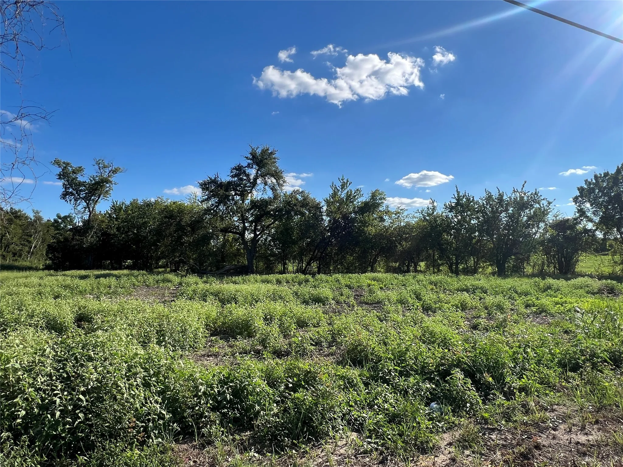 Unimproved Land For Sale in Hopkins County , TBD I-30, Sulphur Springs, Texas 75482, 0, 0, Garage spaces, 0 Sqft, built in 0, mls#21028401, Real Estate Agent in Sulphur Springs, Homes For Sale in Hopkins county, Homes For Sale in Sulphur Springs, Realtor in Sulphur Springs Texas, Real Estate Brokerage Independent Realty Texas, Luminita Cordes Realtor
