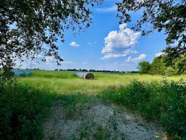 Unimproved Land For Sale in Fannin County , TBD 19.933AC TX-11, Bailey, Texas 75413, 0, 0, Garage spaces, 0 Sqft, built in 0, Price $498,230, mls#21030483, Real Estate Agent in Bailey, Homes For Sale in Fannin county, Homes For Sale in Bailey, Realtor in Bailey Texas, Real Estate Brokerage Independent Realty Texas, Luminita Cordes Realtor