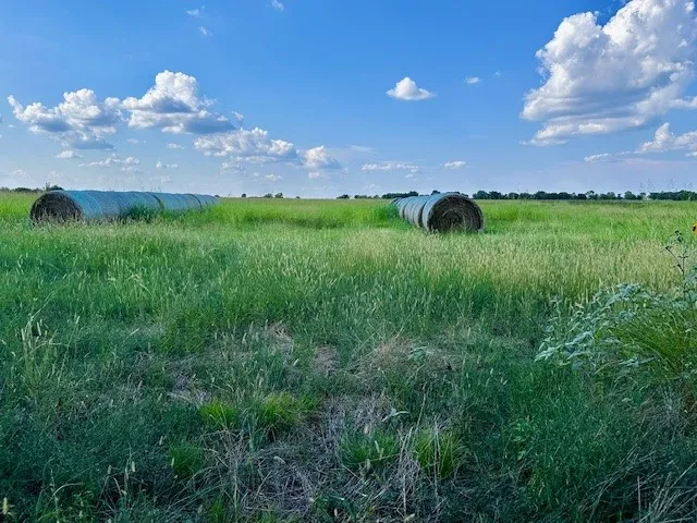 Unimproved Land For Sale in Fannin County , TBD 19.933AC TX-11, Bailey, Texas 75413, 0, 0, Garage spaces, 0 Sqft, built in 0, Price $498,230, mls#21030483, Real Estate Agent in Bailey, Homes For Sale in Fannin county, Homes For Sale in Bailey, Realtor in Bailey Texas, Real Estate Brokerage Independent Realty Texas, Luminita Cordes Realtor