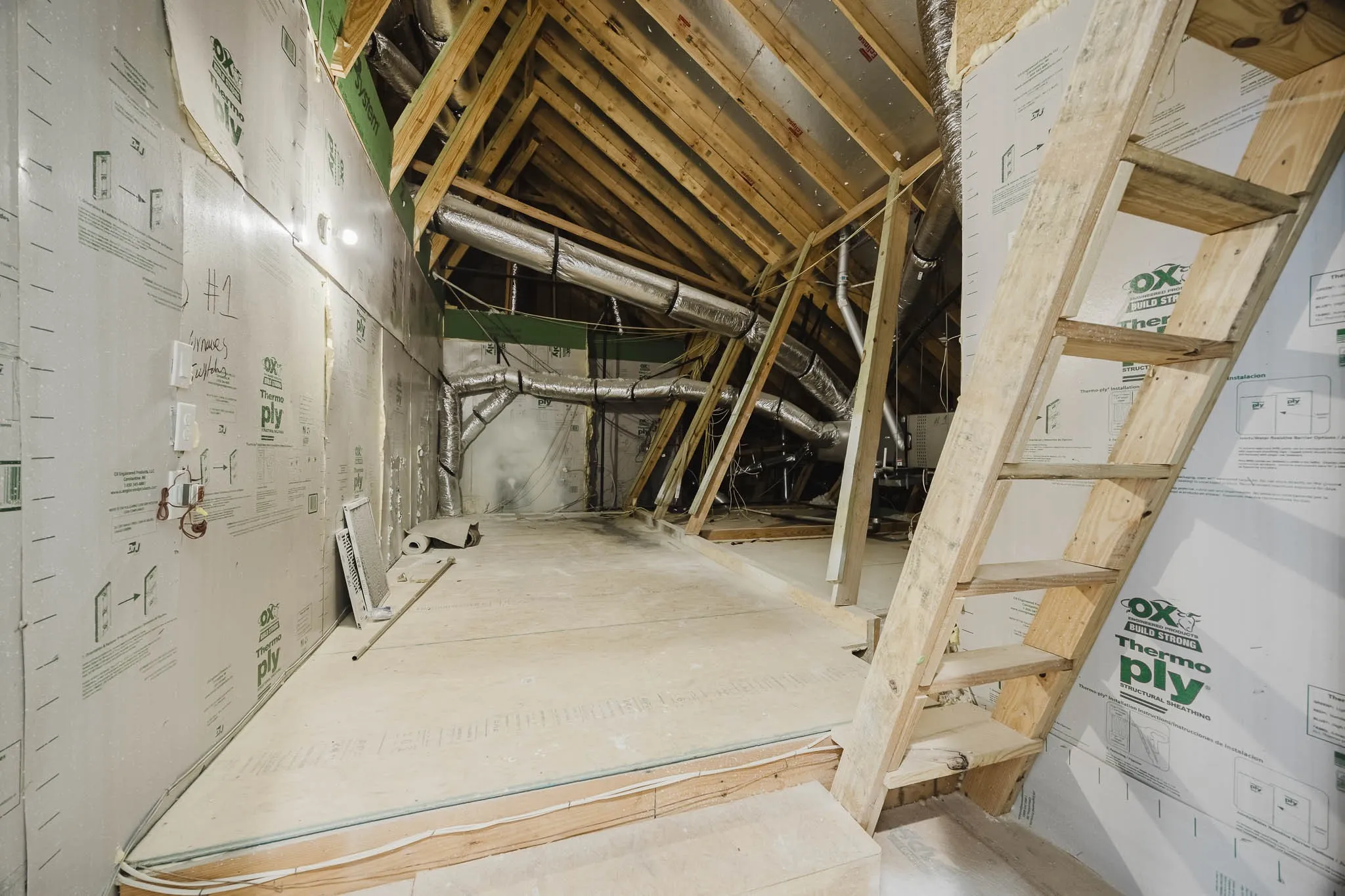 View of unfinished attic
