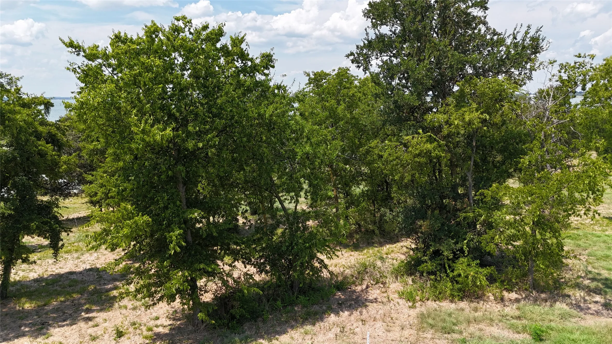Unimproved Land For Sale in Navarro County , Lot 32 Opal Drive, Corsicana, Texas 75109, 0, 0, Garage spaces, 0 Sqft, built in 0, Price $295,000, mls#21026749, Real Estate Agent in Corsicana, Homes For Sale in Navarro county, Homes For Sale in Corsicana, Realtor in Corsicana Texas, Real Estate Brokerage Independent Realty Texas, Luminita Cordes Realtor