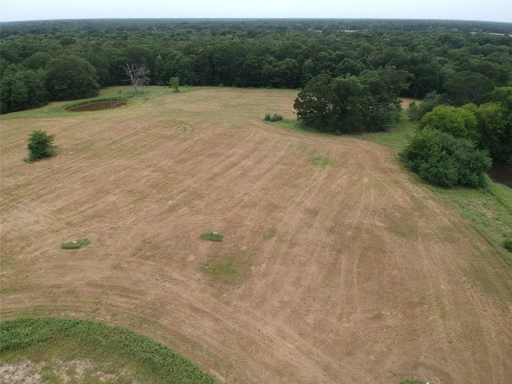 Improved Land For Sale in Hopkins County , 000 County Road 3512, Dike, Texas 75437, 0, 0, Garage spaces, 0 Sqft, built in 0, Price $60,000, mls#21030651, Real Estate Agent in Dike, Homes For Sale in Hopkins county, Homes For Sale in Dike, Realtor in Dike Texas, Real Estate Brokerage Independent Realty Texas, Luminita Cordes Realtor