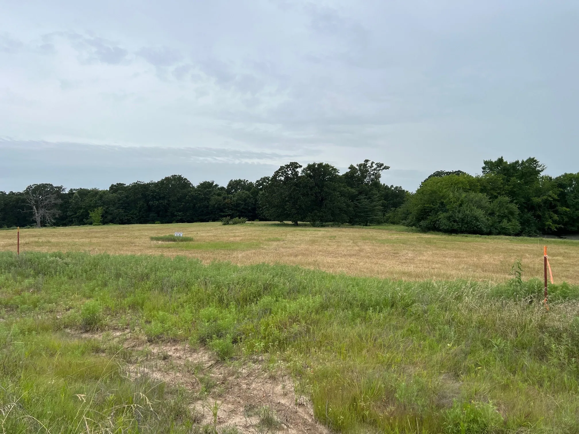 Improved Land For Sale in Hopkins County , 000 County Road 3512, Dike, Texas 75437, 0, 0, Garage spaces, 0 Sqft, built in 0, Price $60,000, mls#21030651, Real Estate Agent in Dike, Homes For Sale in Hopkins county, Homes For Sale in Dike, Realtor in Dike Texas, Real Estate Brokerage Independent Realty Texas, Luminita Cordes Realtor