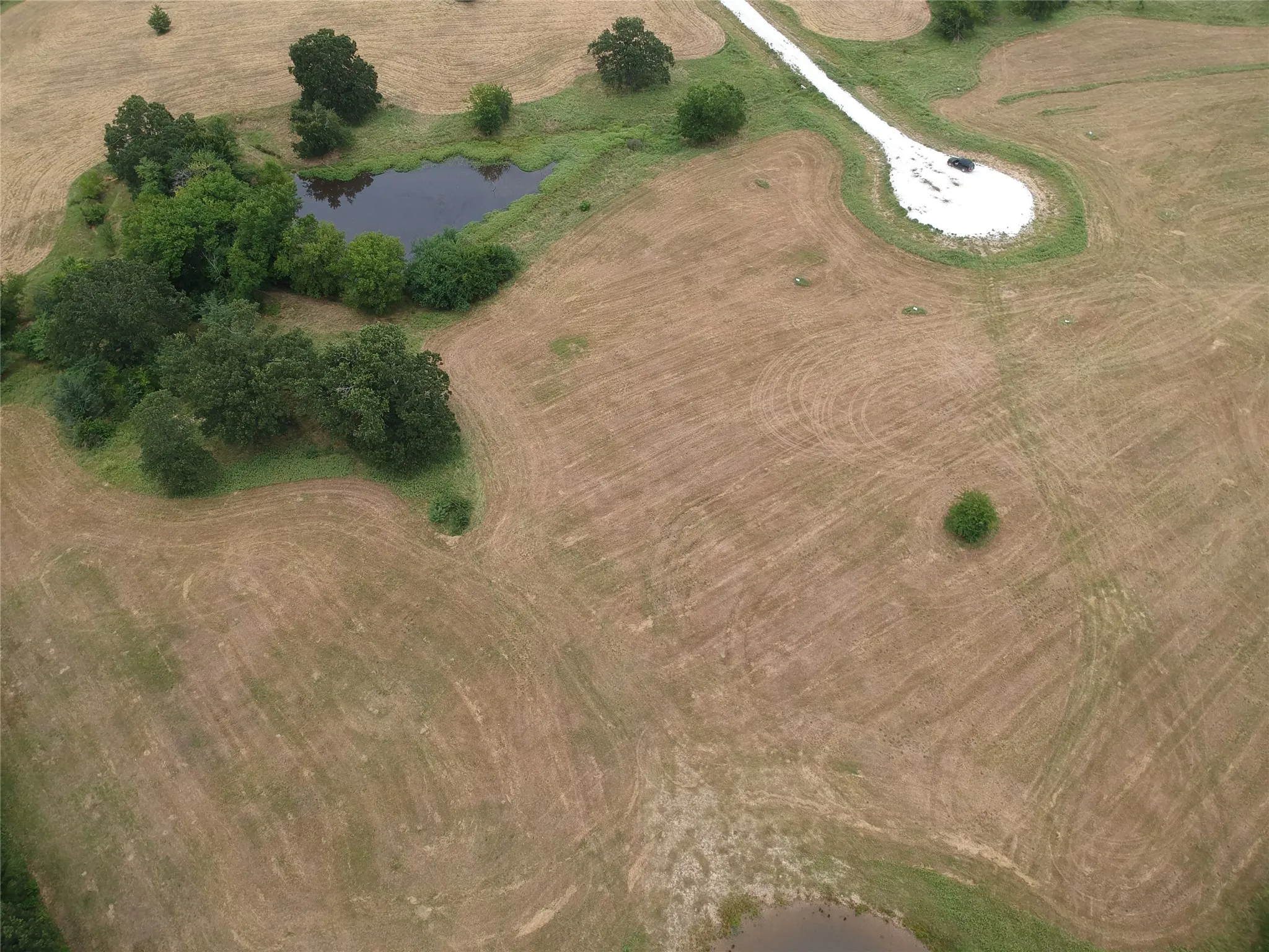 Improved Land For Sale in Hopkins County , 000 County Road 3512, Dike, Texas 75437, 0, 0, Garage spaces, 0 Sqft, built in 0, Price $60,000, mls#21030651, Real Estate Agent in Dike, Homes For Sale in Hopkins county, Homes For Sale in Dike, Realtor in Dike Texas, Real Estate Brokerage Independent Realty Texas, Luminita Cordes Realtor
