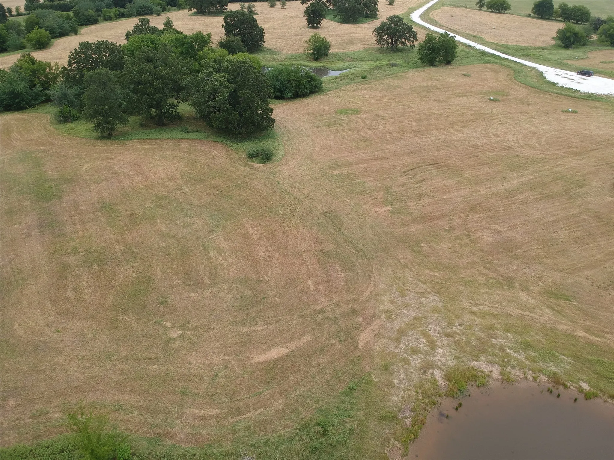 Improved Land For Sale in Hopkins County , 000 County Road 3512, Dike, Texas 75437, 0, 0, Garage spaces, 0 Sqft, built in 0, Price $60,000, mls#21030651, Real Estate Agent in Dike, Homes For Sale in Hopkins county, Homes For Sale in Dike, Realtor in Dike Texas, Real Estate Brokerage Independent Realty Texas, Luminita Cordes Realtor