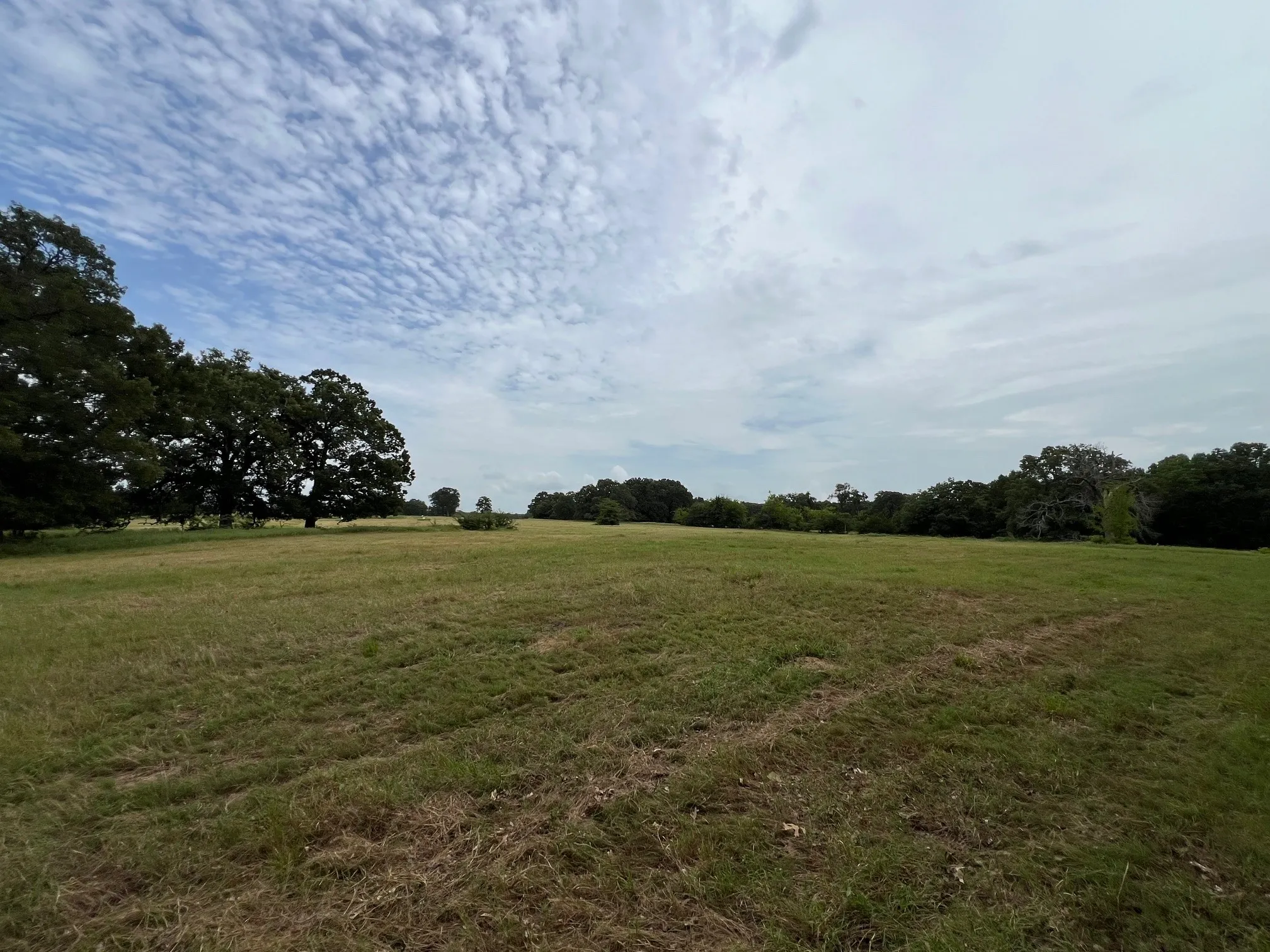 Improved Land For Sale in Hopkins County , 000 County Road 3512, Dike, Texas 75437, 0, 0, Garage spaces, 0 Sqft, built in 0, Price $60,000, mls#21030651, Real Estate Agent in Dike, Homes For Sale in Hopkins county, Homes For Sale in Dike, Realtor in Dike Texas, Real Estate Brokerage Independent Realty Texas, Luminita Cordes Realtor