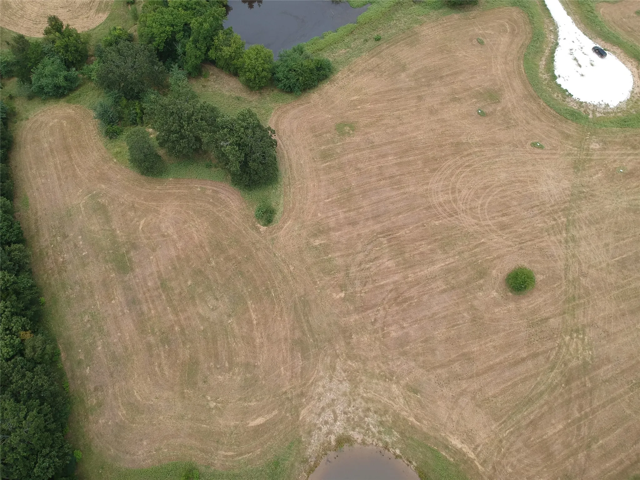 Improved Land For Sale in Hopkins County , 000 County Road 3512, Dike, Texas 75437, 0, 0, Garage spaces, 0 Sqft, built in 0, Price $60,000, mls#21030651, Real Estate Agent in Dike, Homes For Sale in Hopkins county, Homes For Sale in Dike, Realtor in Dike Texas, Real Estate Brokerage Independent Realty Texas, Luminita Cordes Realtor